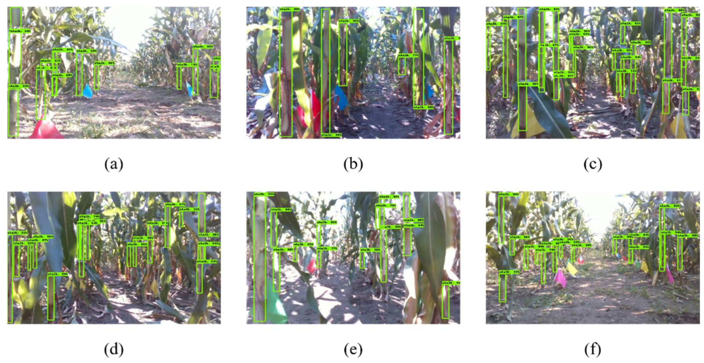 Remotesensing 14 01030 g010 Remotesensing 14 01030 g010