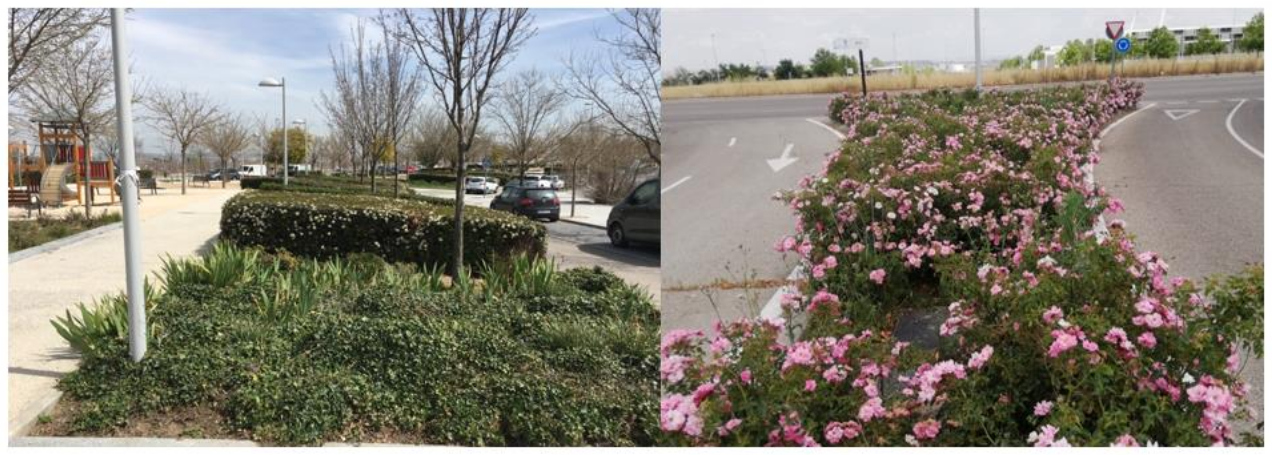 Remotesensing 14 01060 g005