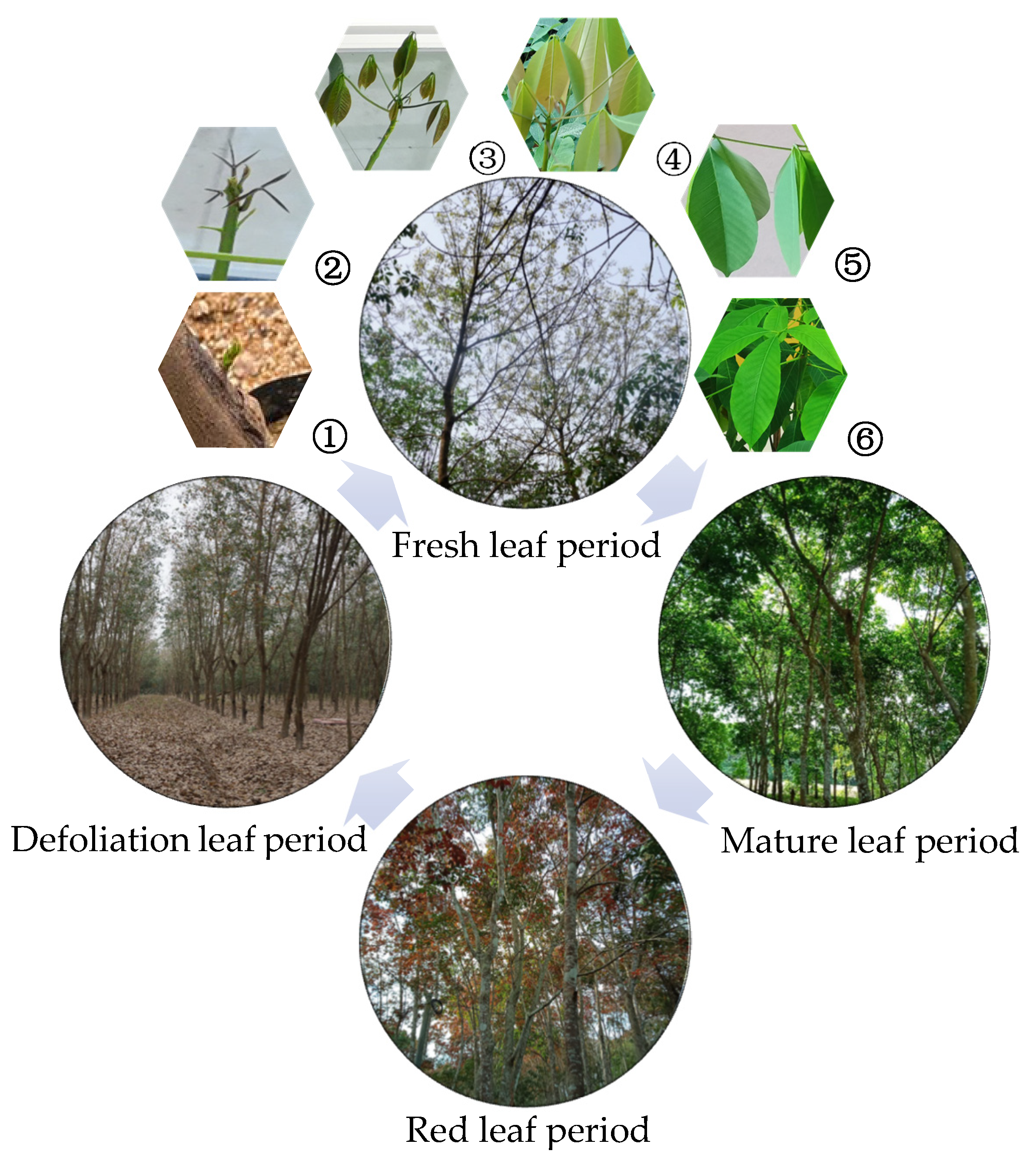 Remotesensing 14 01061 g002