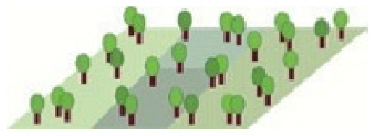 Remotesensing 14 01067 i004