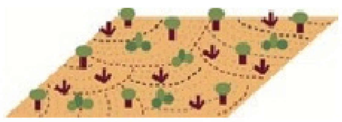 Remotesensing 14 01067 i006