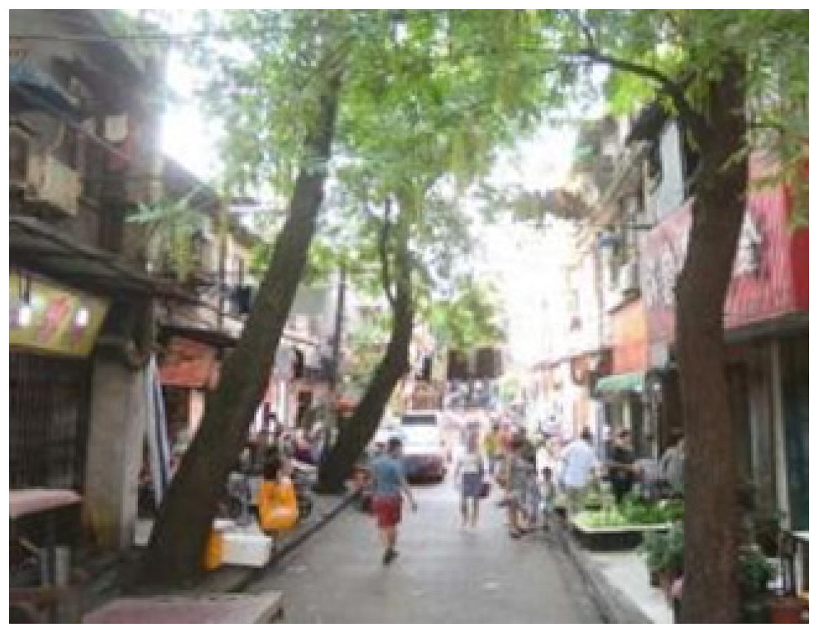 Remotesensing 14 01067 i023