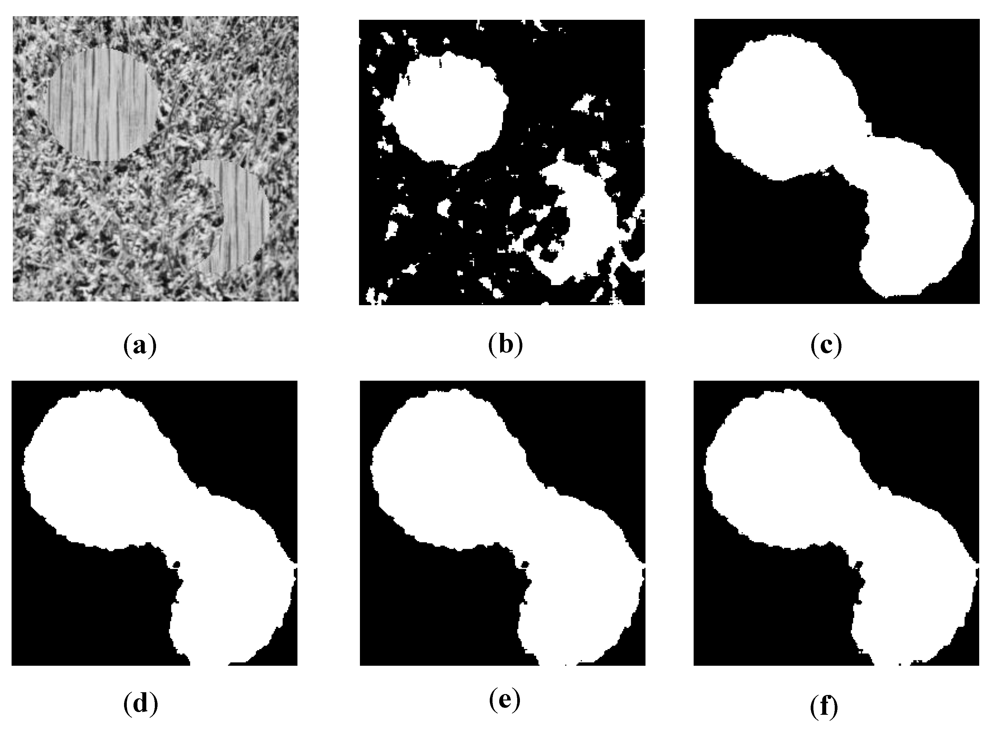 Remotesensing 14 01117 g004