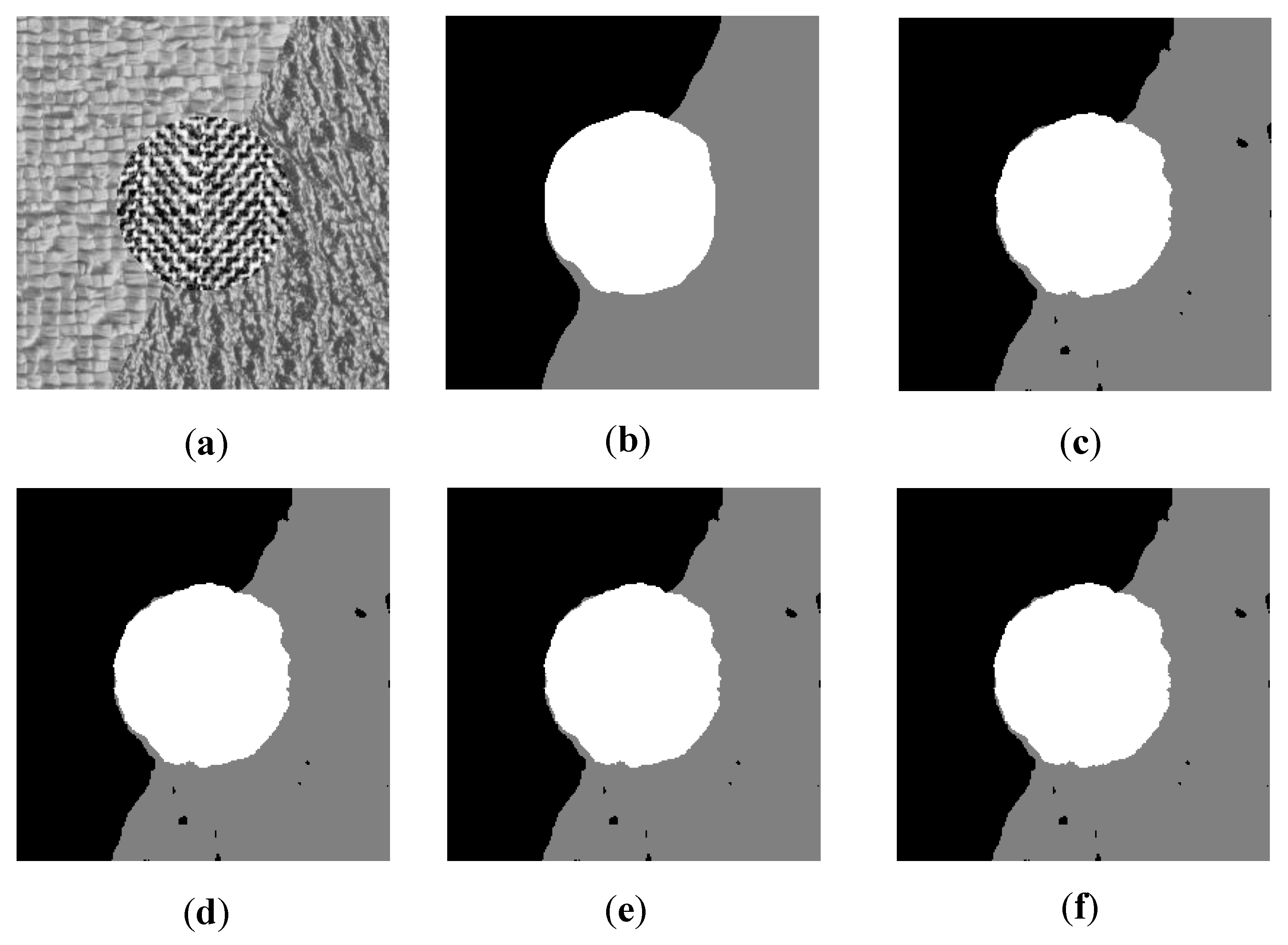 Remotesensing 14 01117 g006
