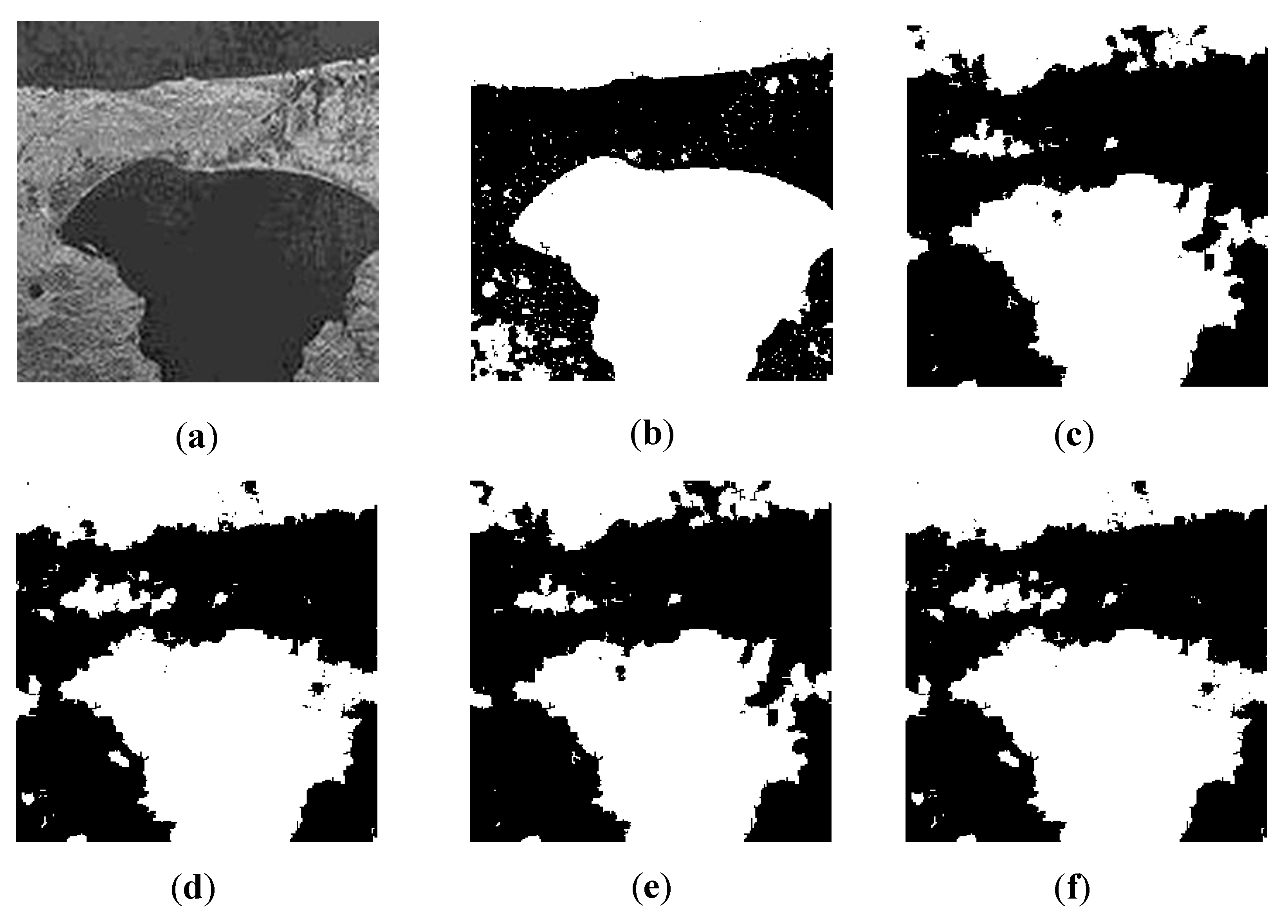 Remotesensing 14 01117 g012