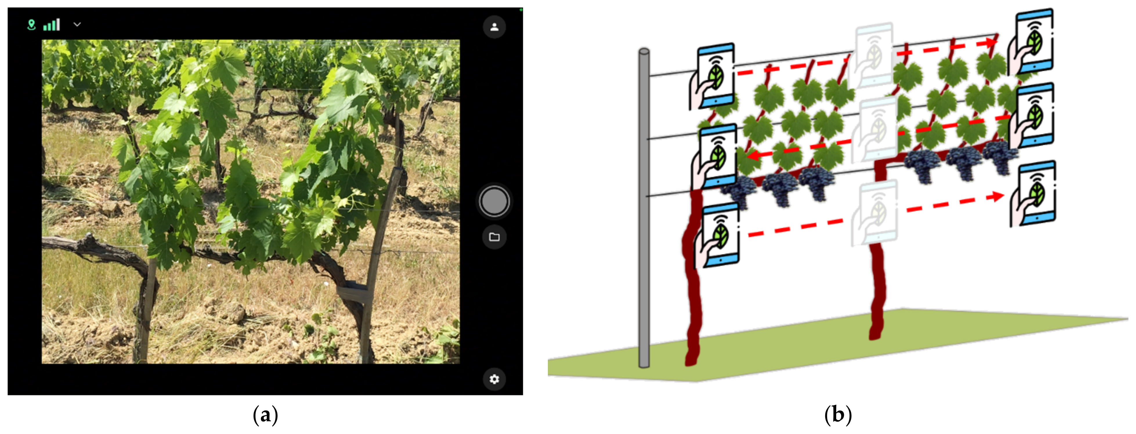 Remotesensing 14 01145 g004 Remotesensing 14 01145 g004