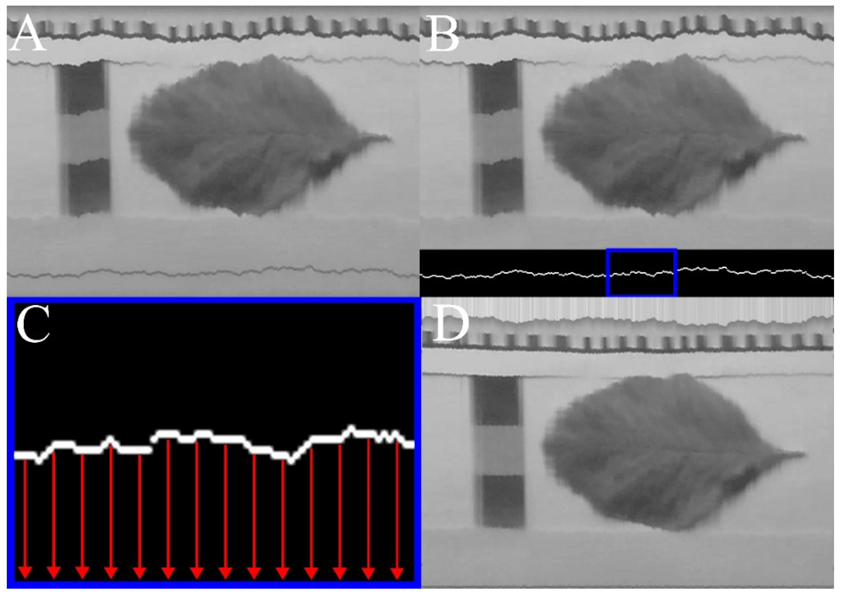 Remotesensing 14 01152 g005