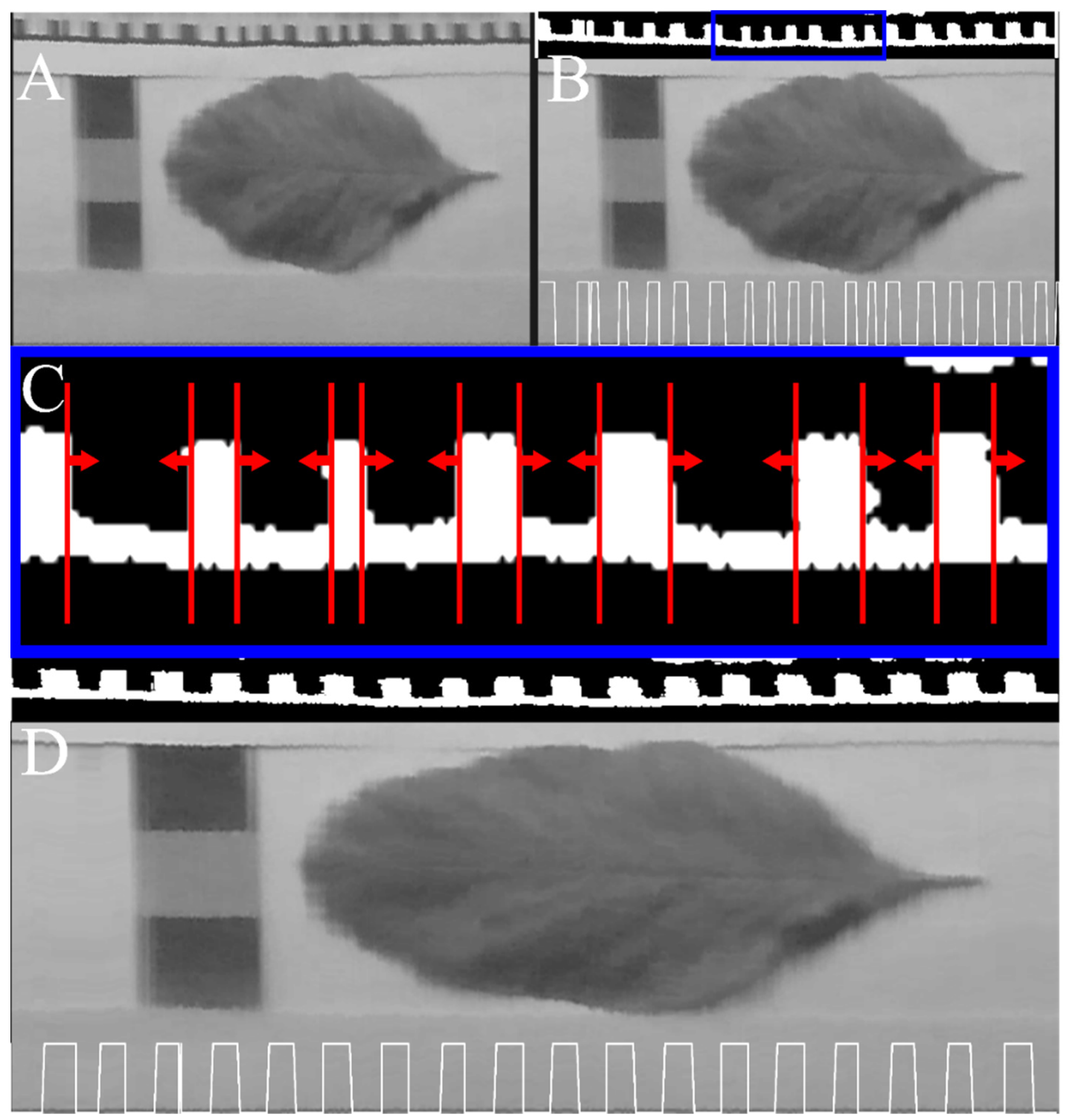 Remotesensing 14 01152 g006