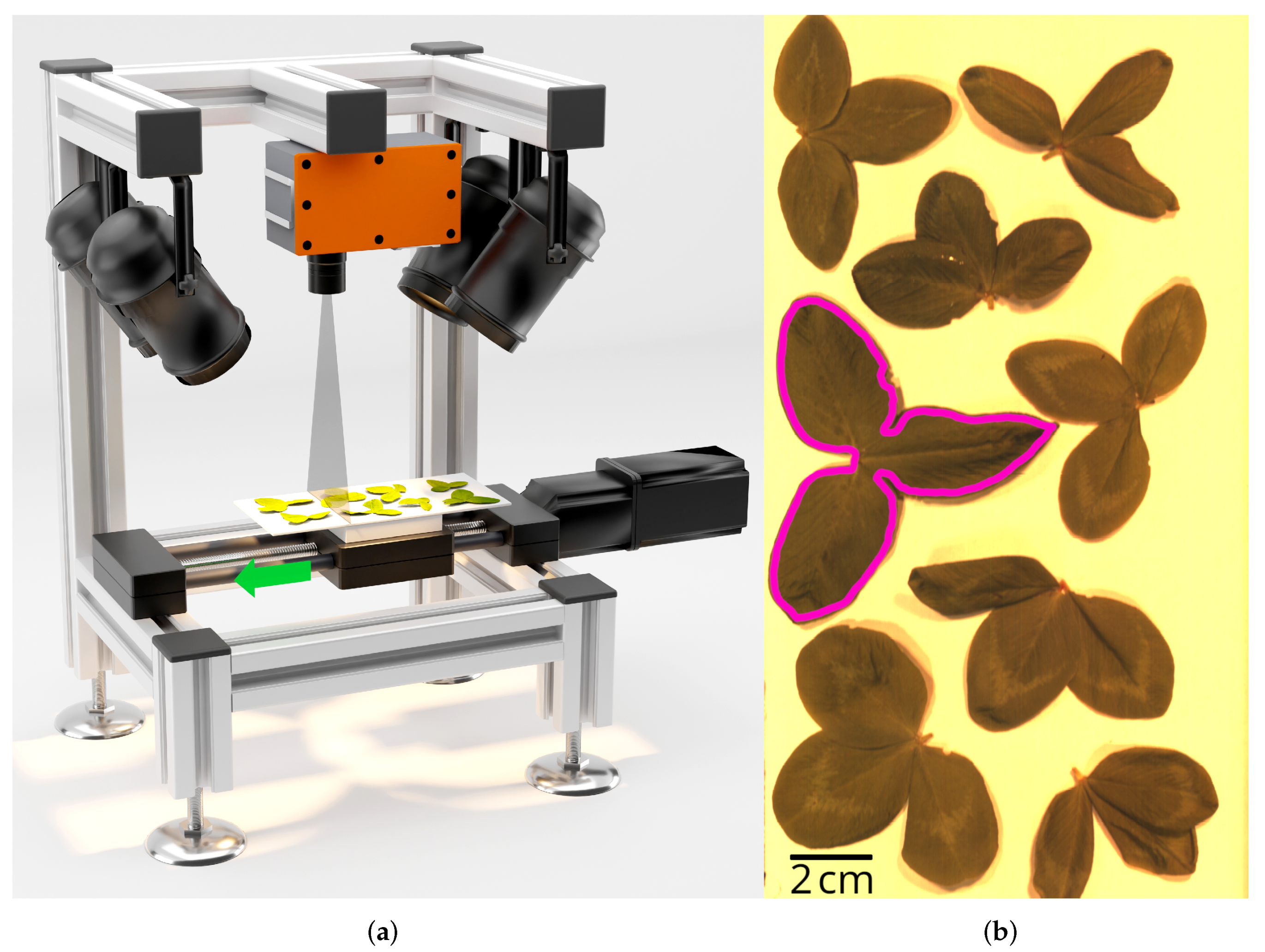 Remotesensing 14 01154 g001