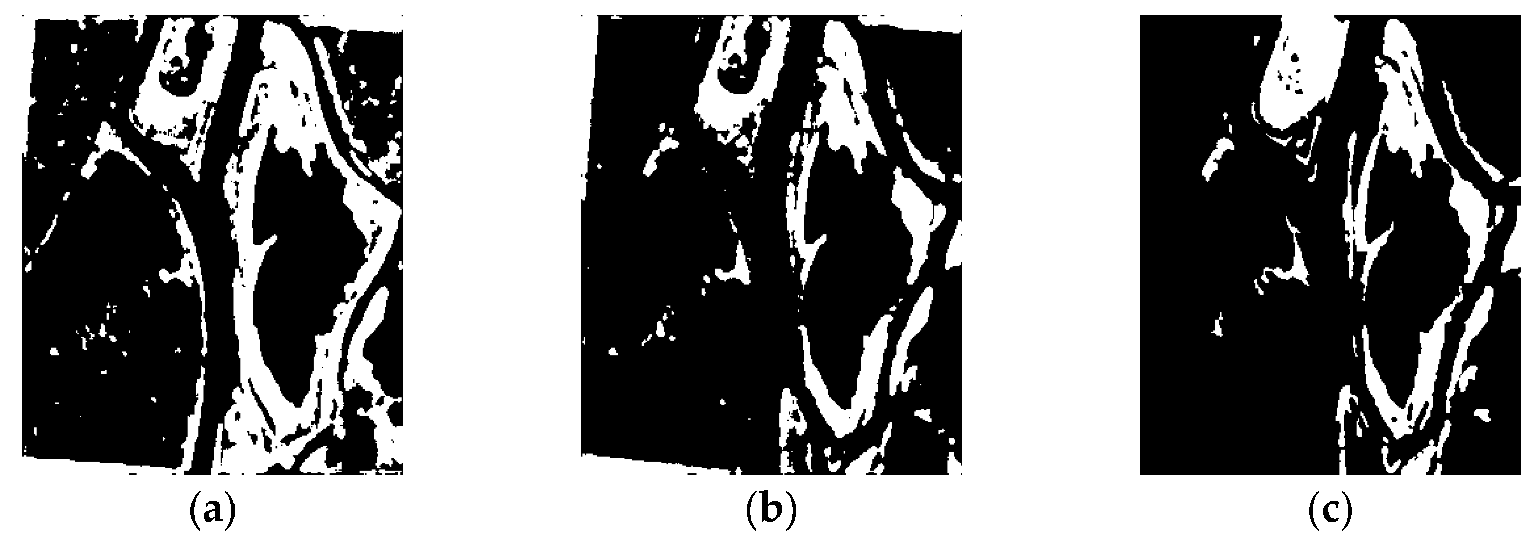 Remotesensing 14 01175 g015 550