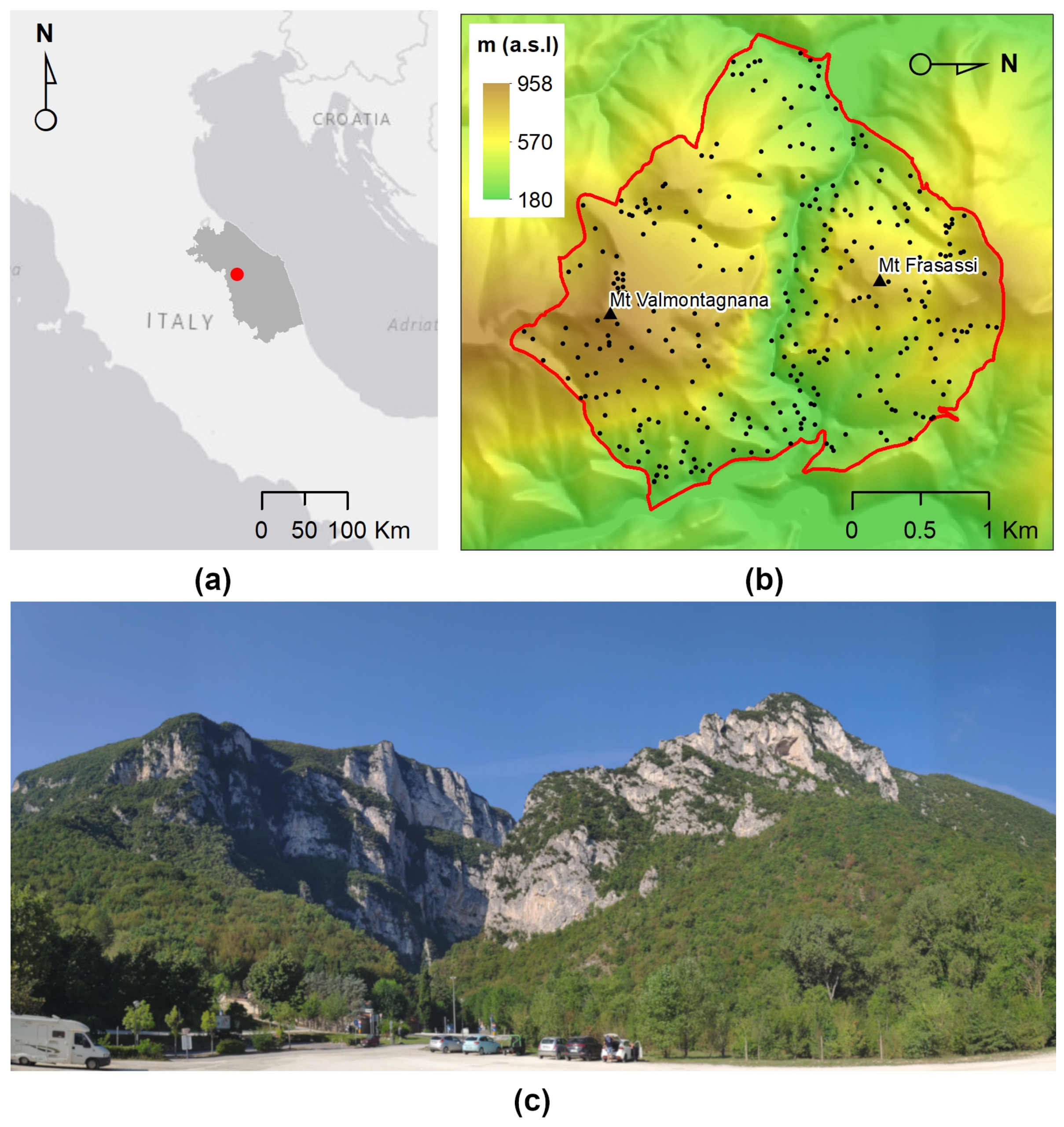 Remotesensing 14 01179 g002