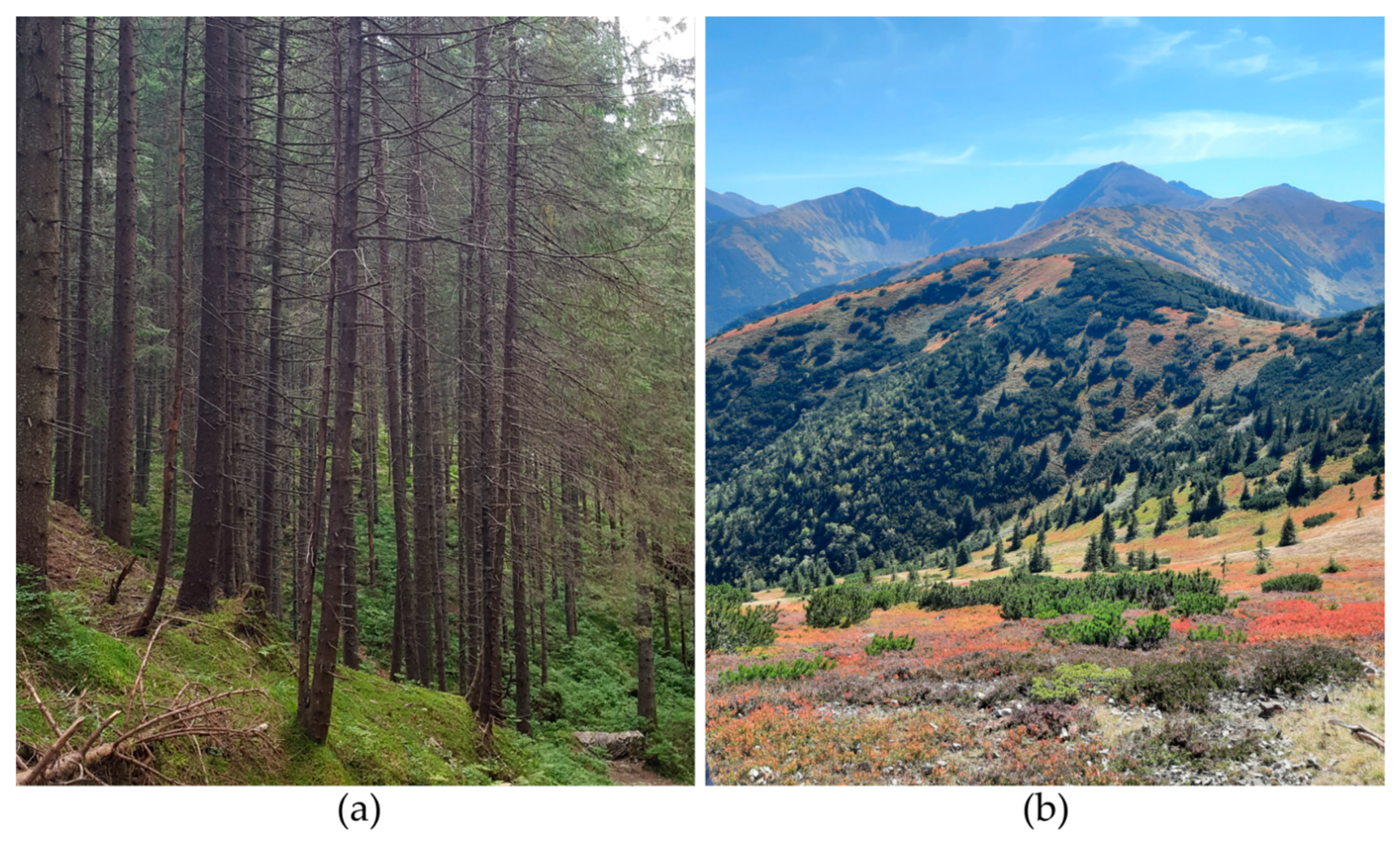 Remotesensing 14 01209 g002