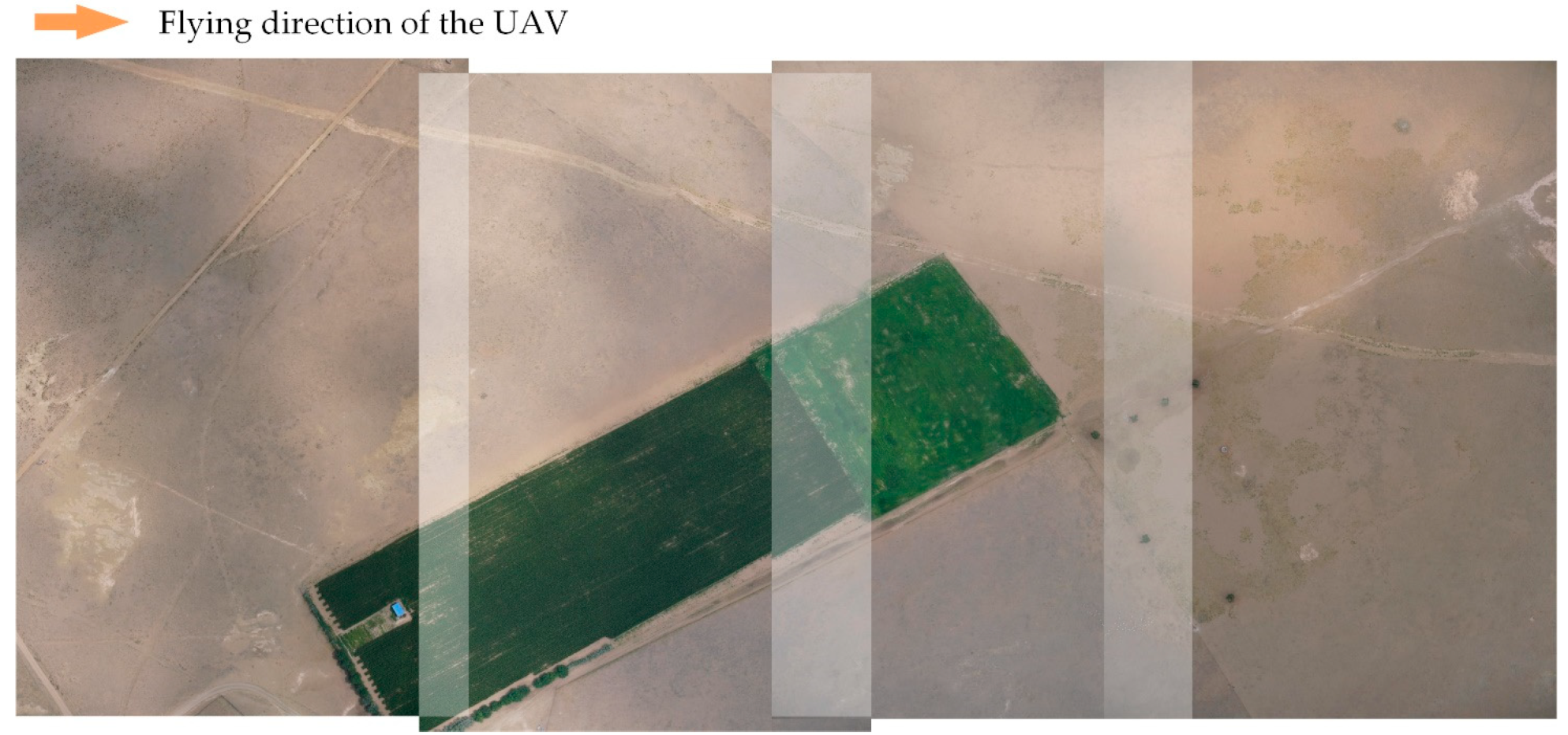 Remotesensing 14 01234 g006 550