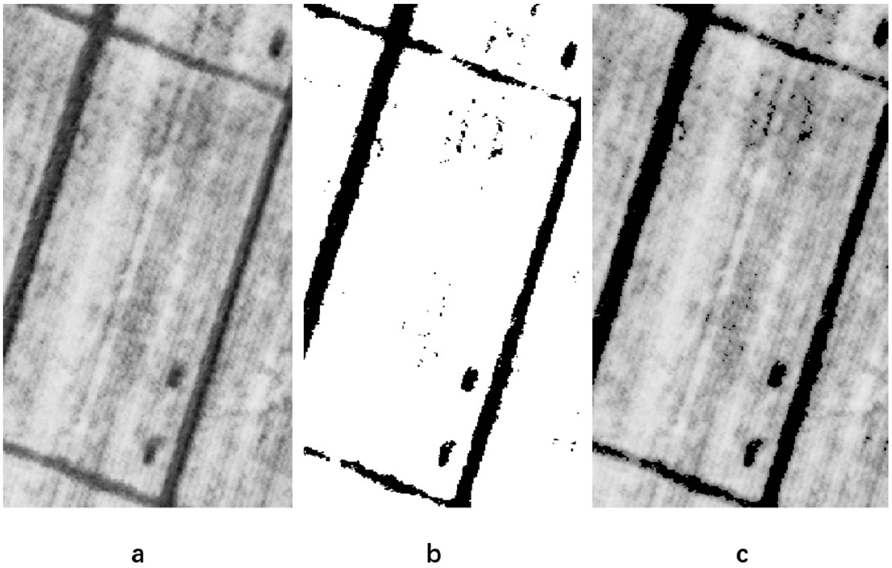 Remotesensing 14 01251 g003