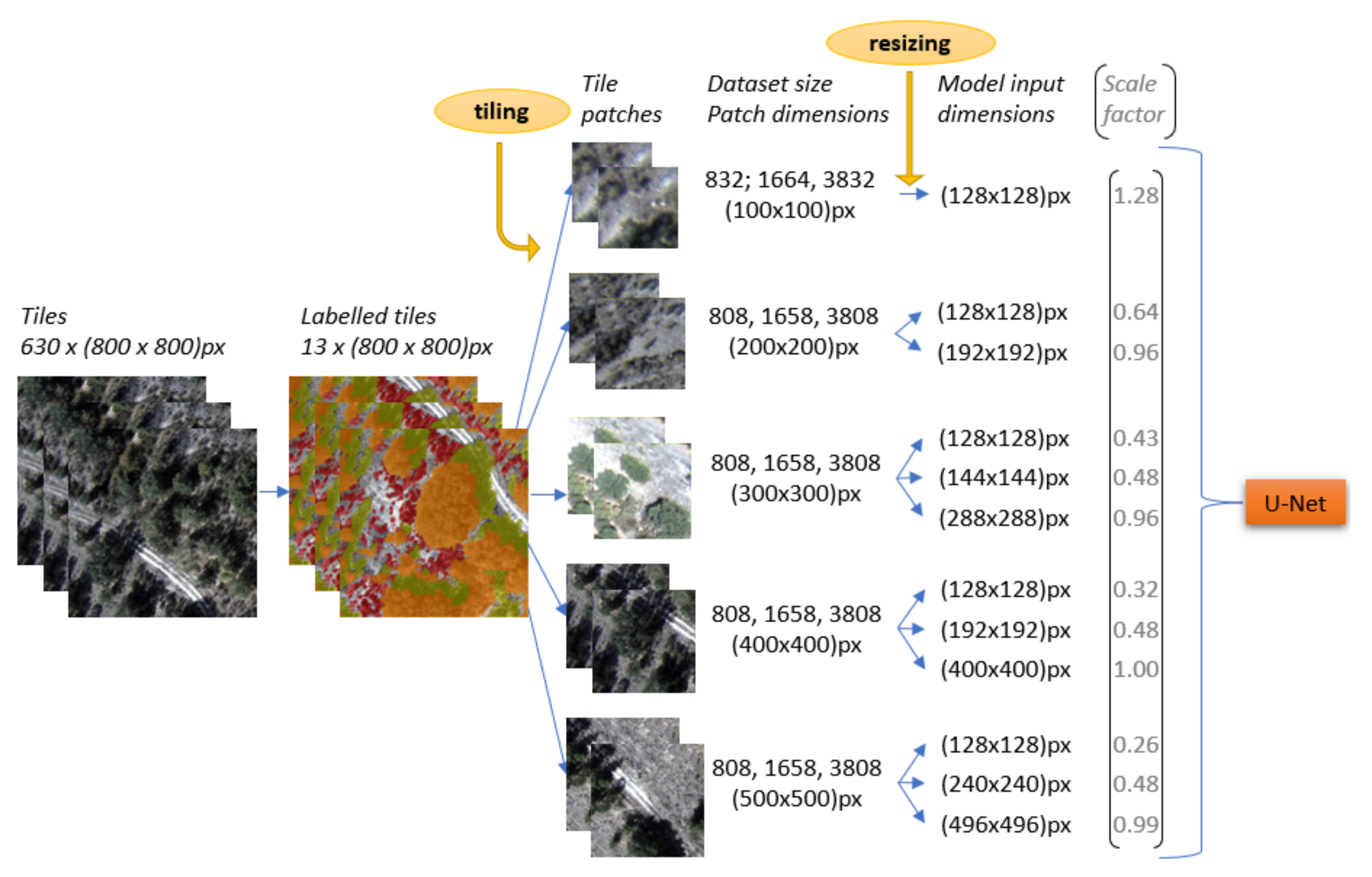 Remotesensing 14 01262 g004 550