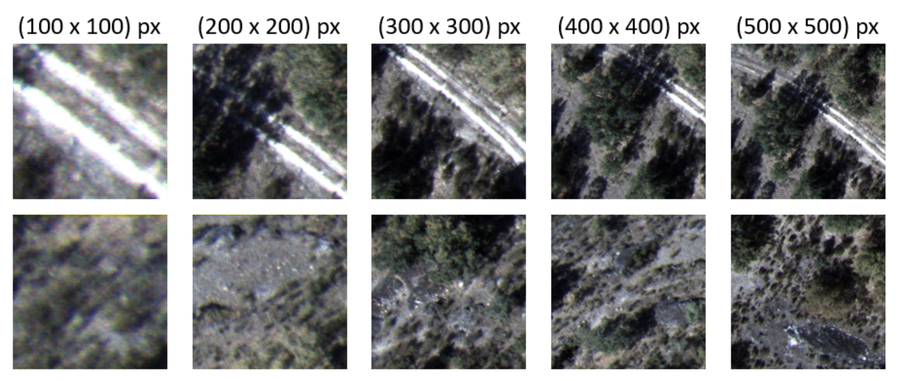 Remotesensing 14 01262 g006 550