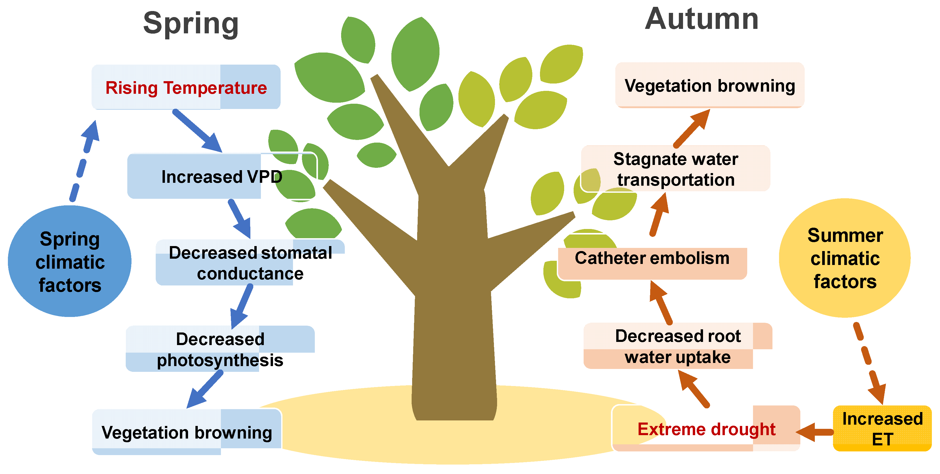 Remotesensing 14 01298 g013 550
