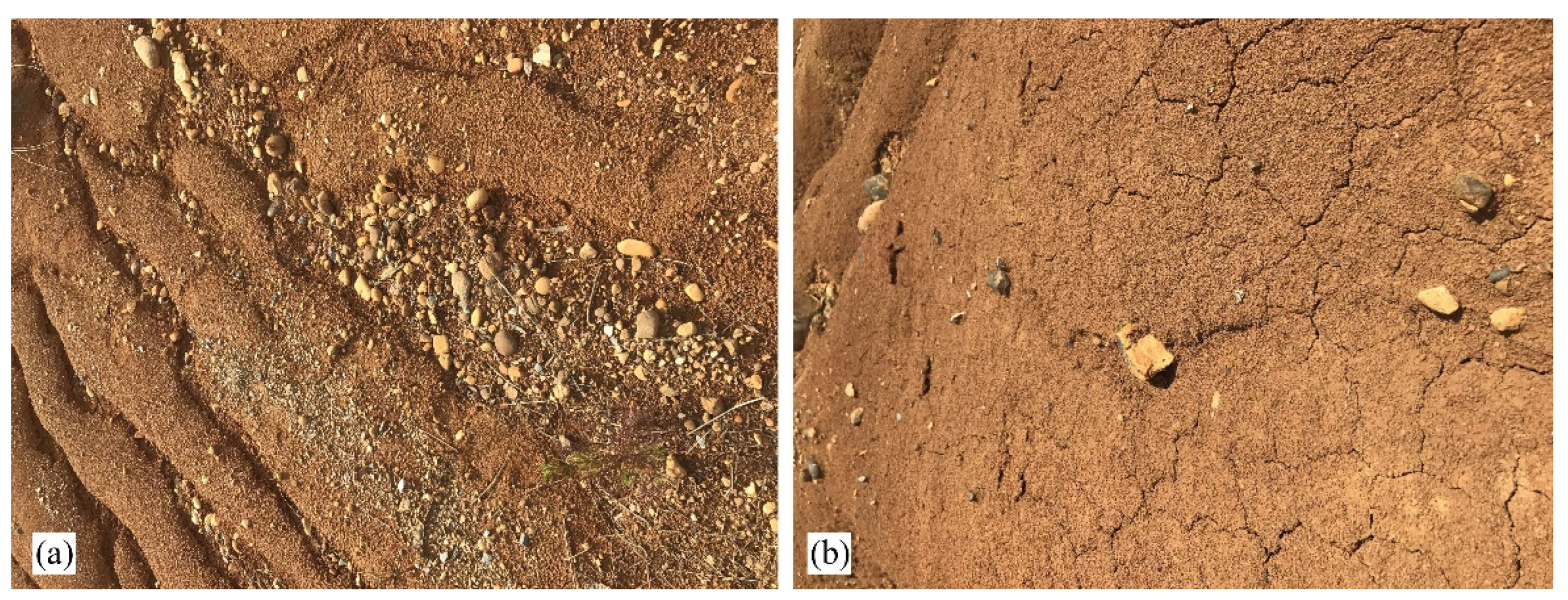 Remotesensing 14 01315 g006 550