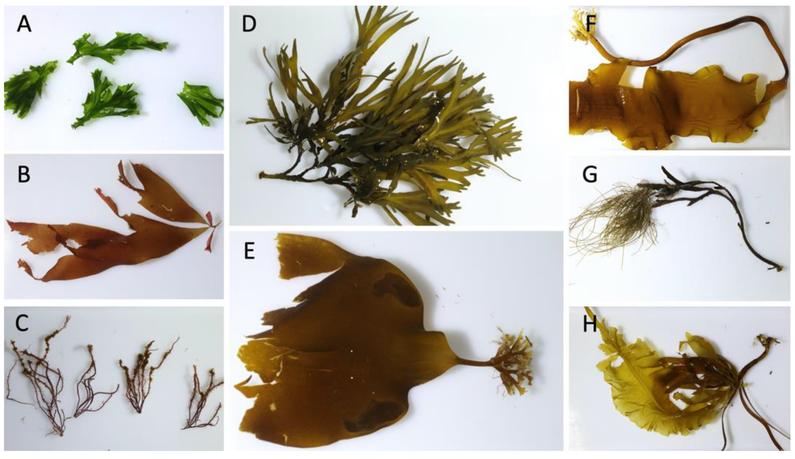 Remotesensing 14 01325 g004