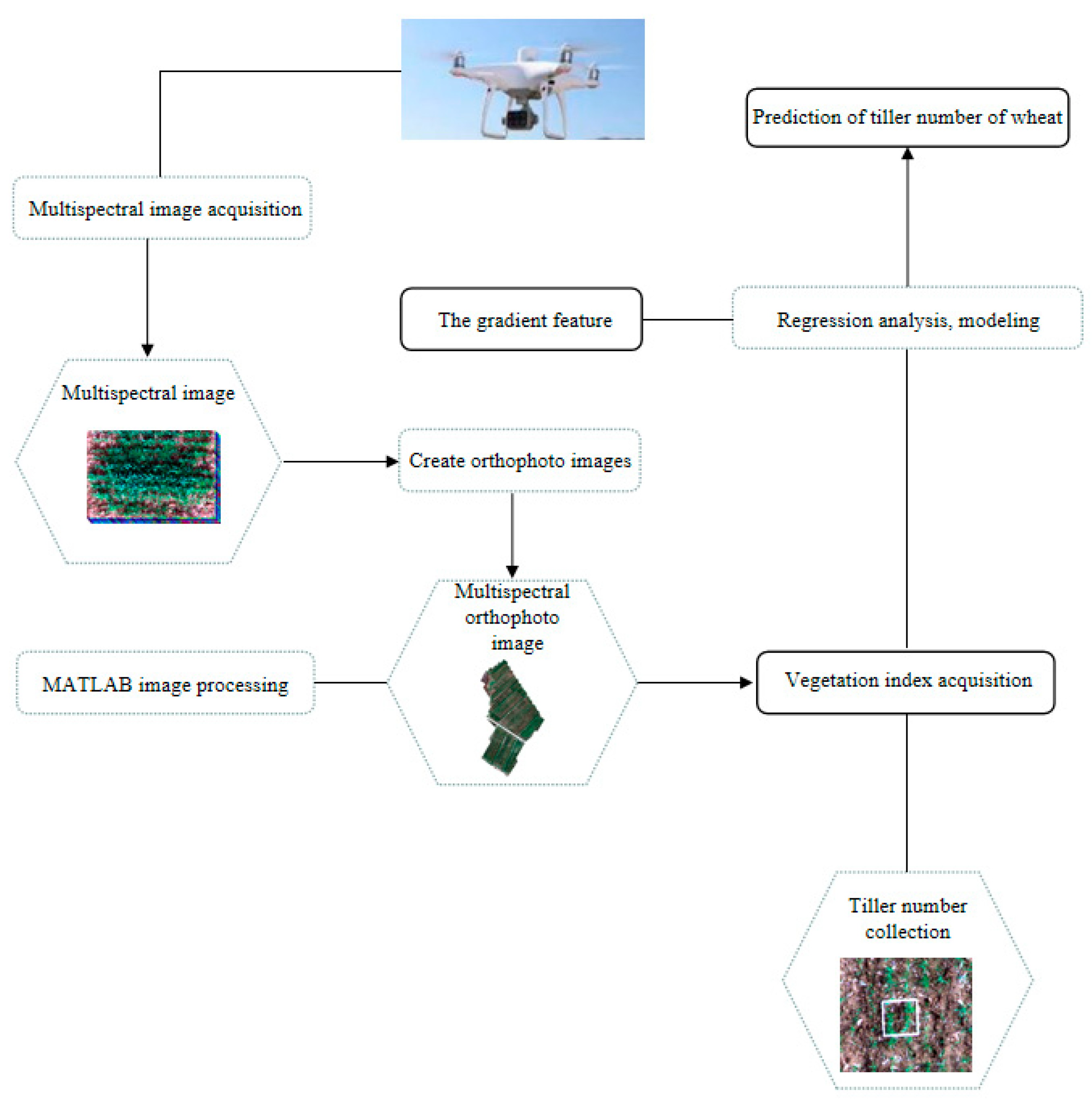 Remotesensing 14 01338 g002