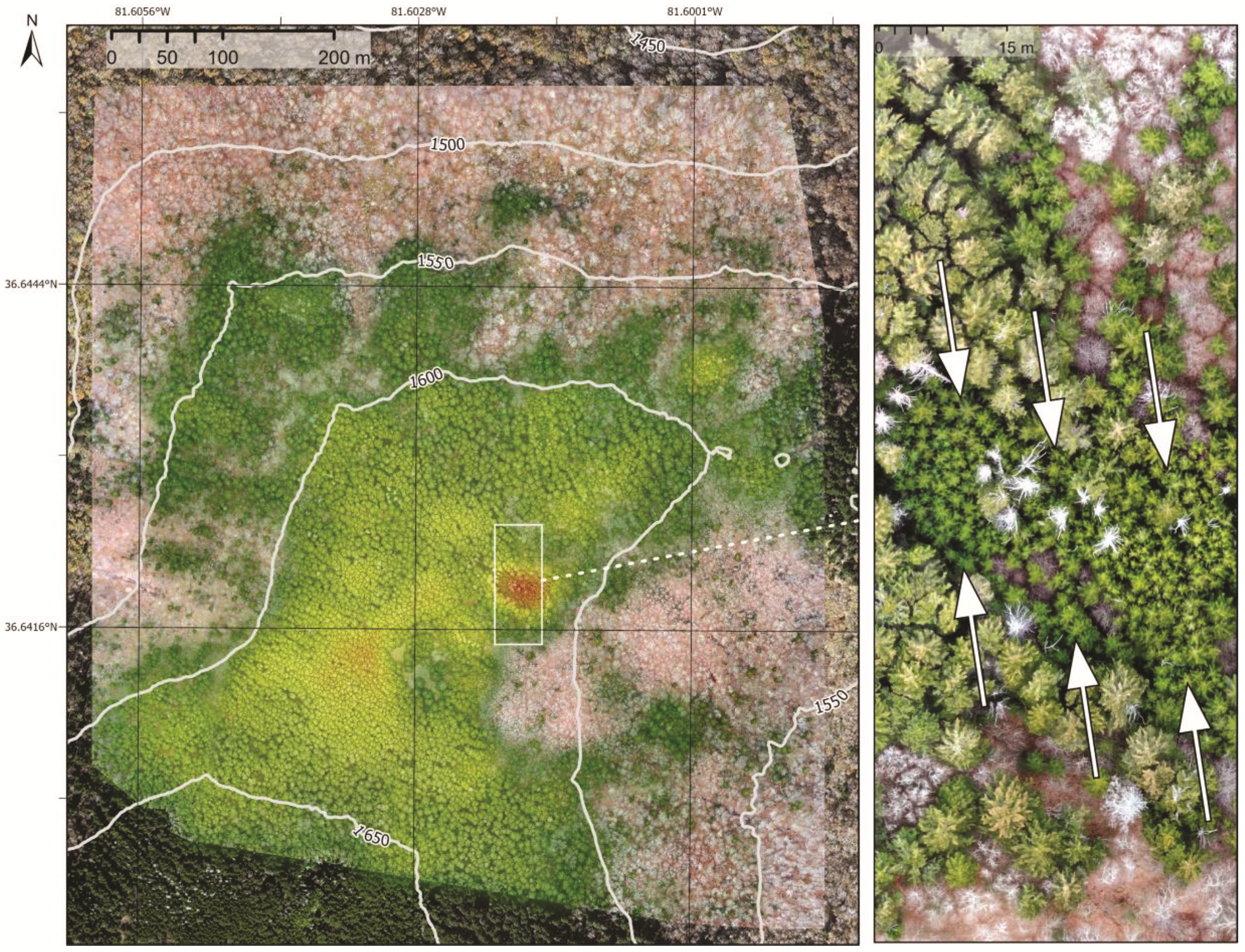 Remotesensing 14 01341 g005