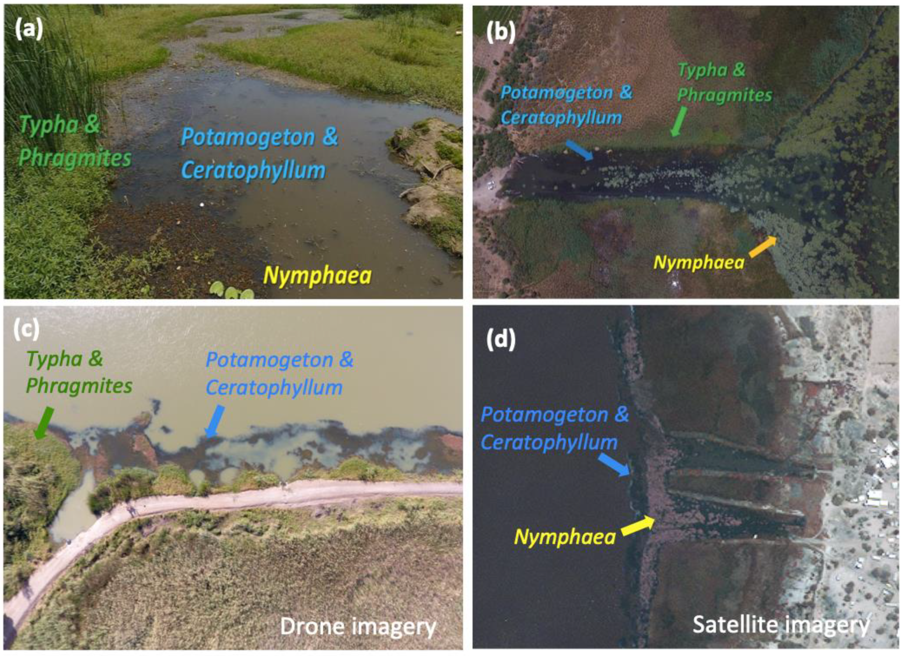 Remotesensing 14 01345 g002