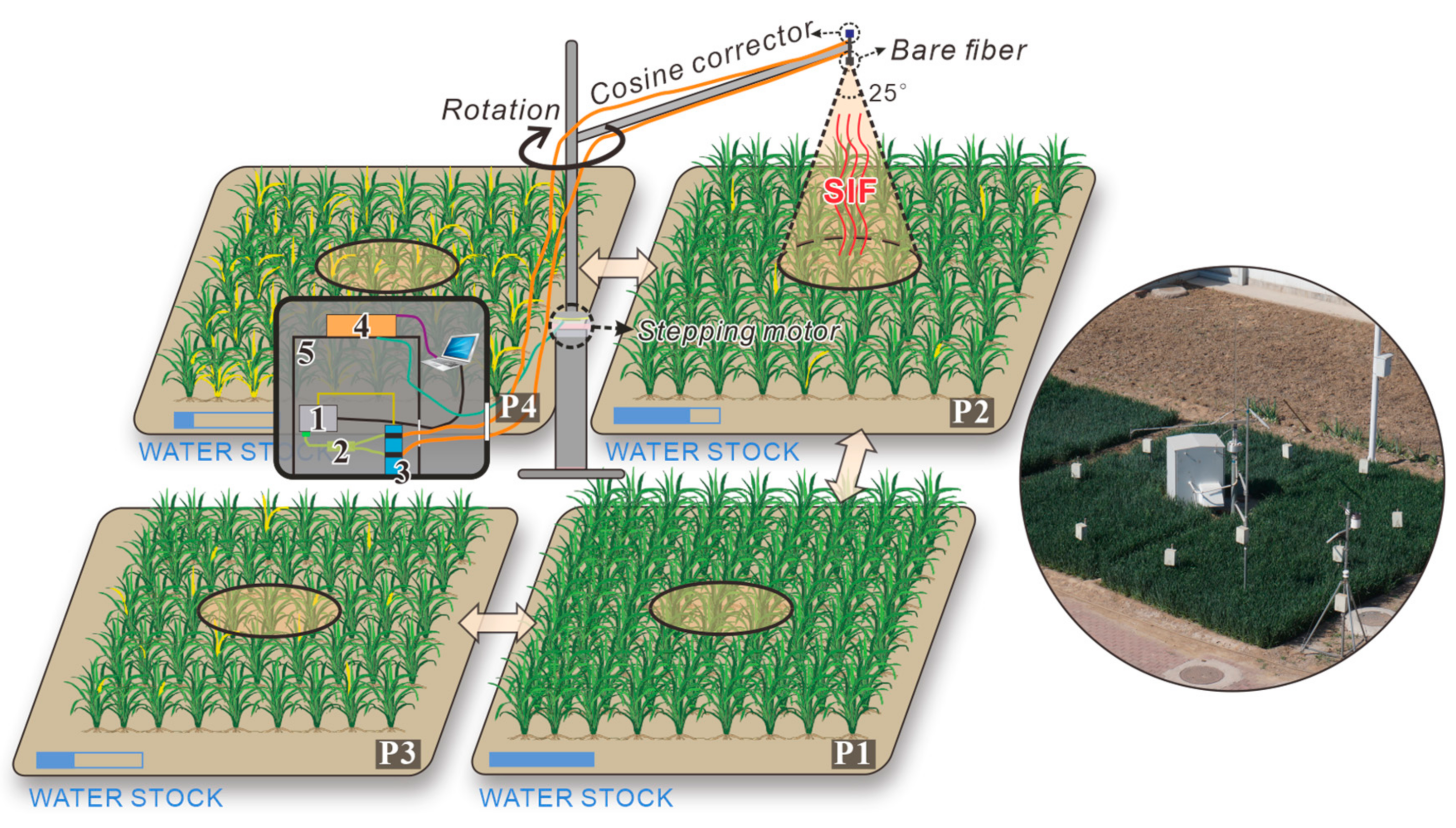 Remotesensing 14 01357 g001