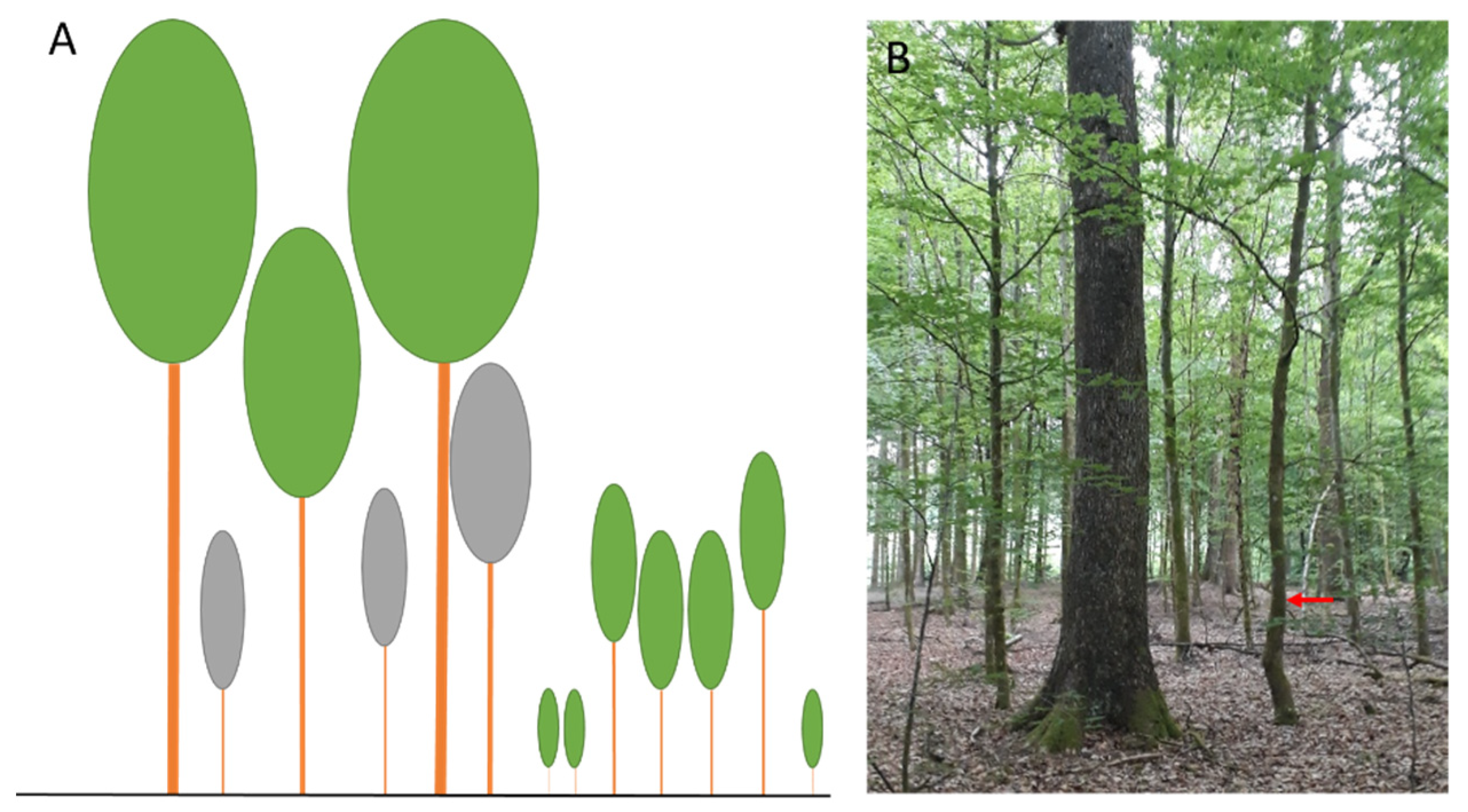 Remotesensing 14 01362 g004