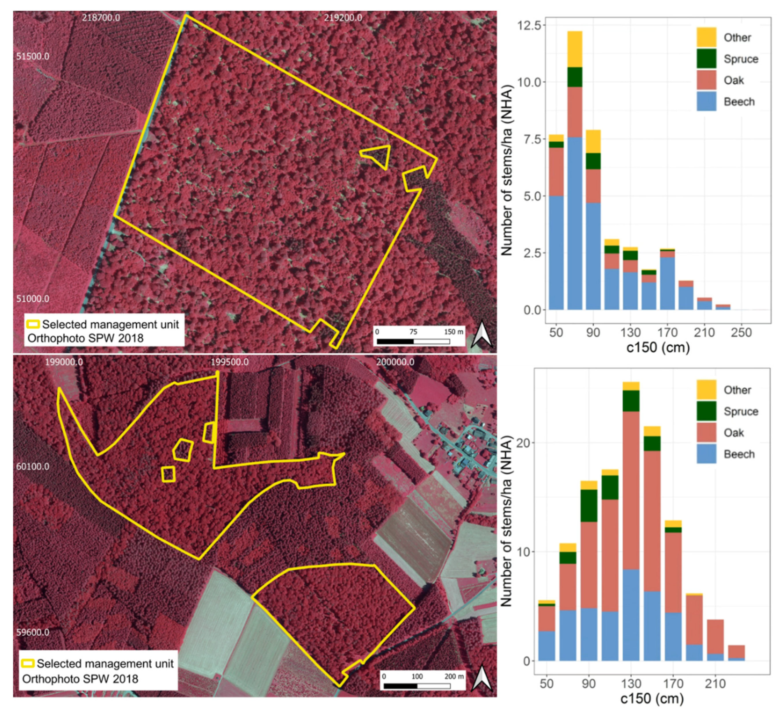 Remotesensing 14 01362 g011
