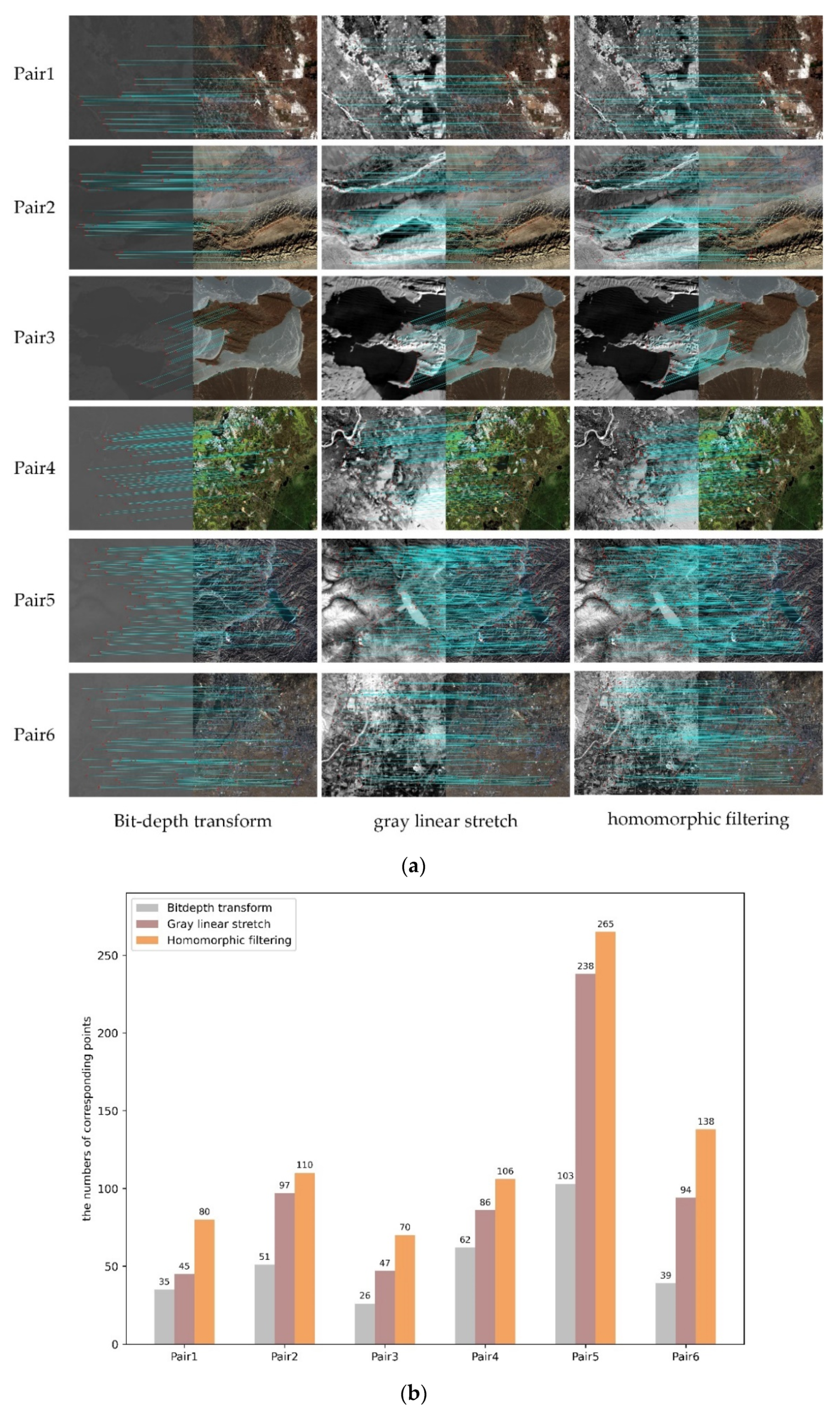 Remotesensing 14 01393 g010