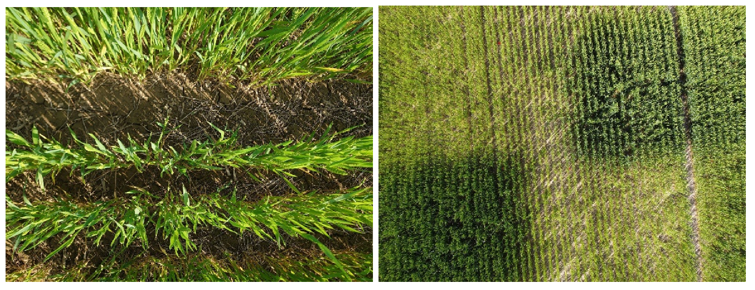 Remotesensing 14 01400 g002