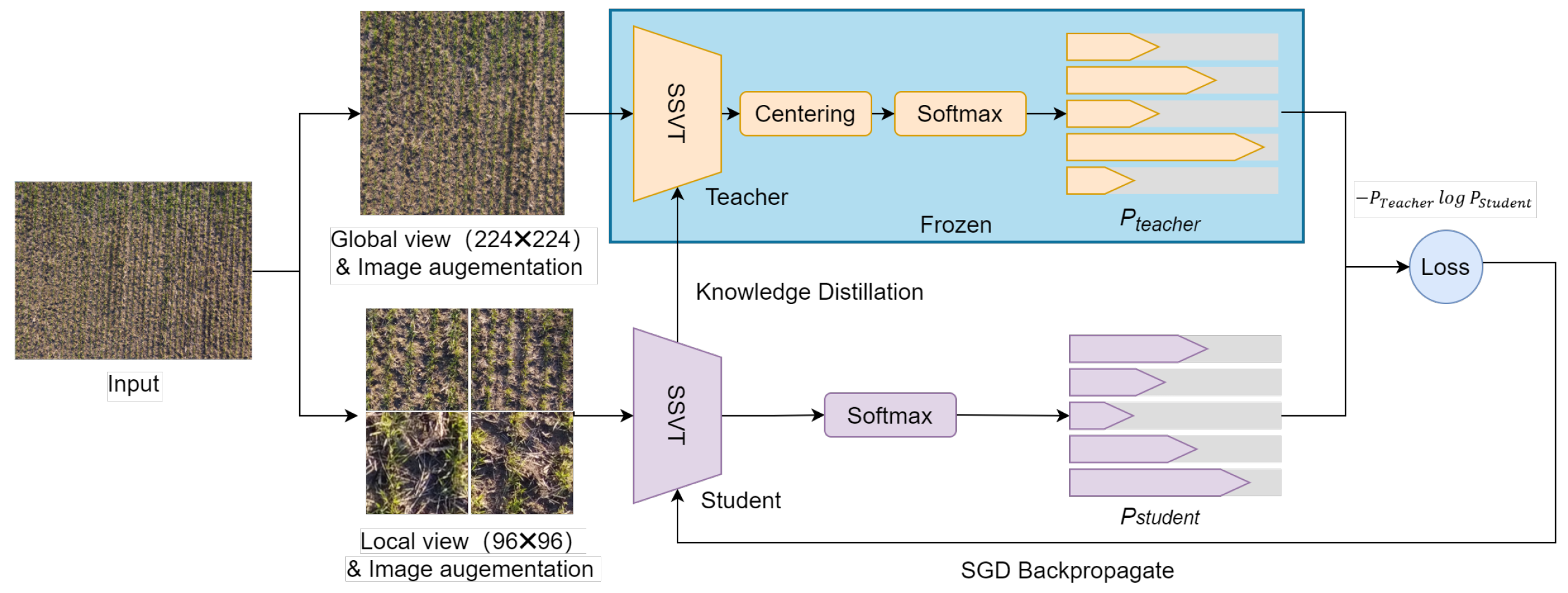 Remotesensing 14 01400 g005
