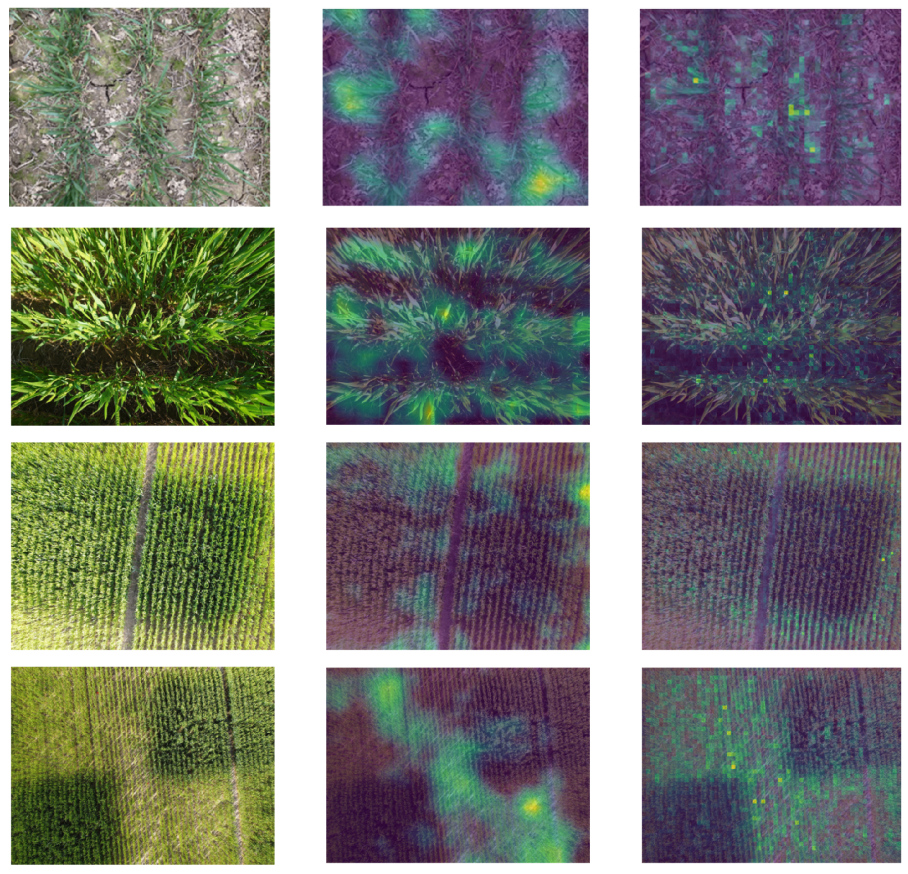 Remotesensing 14 01400 g011