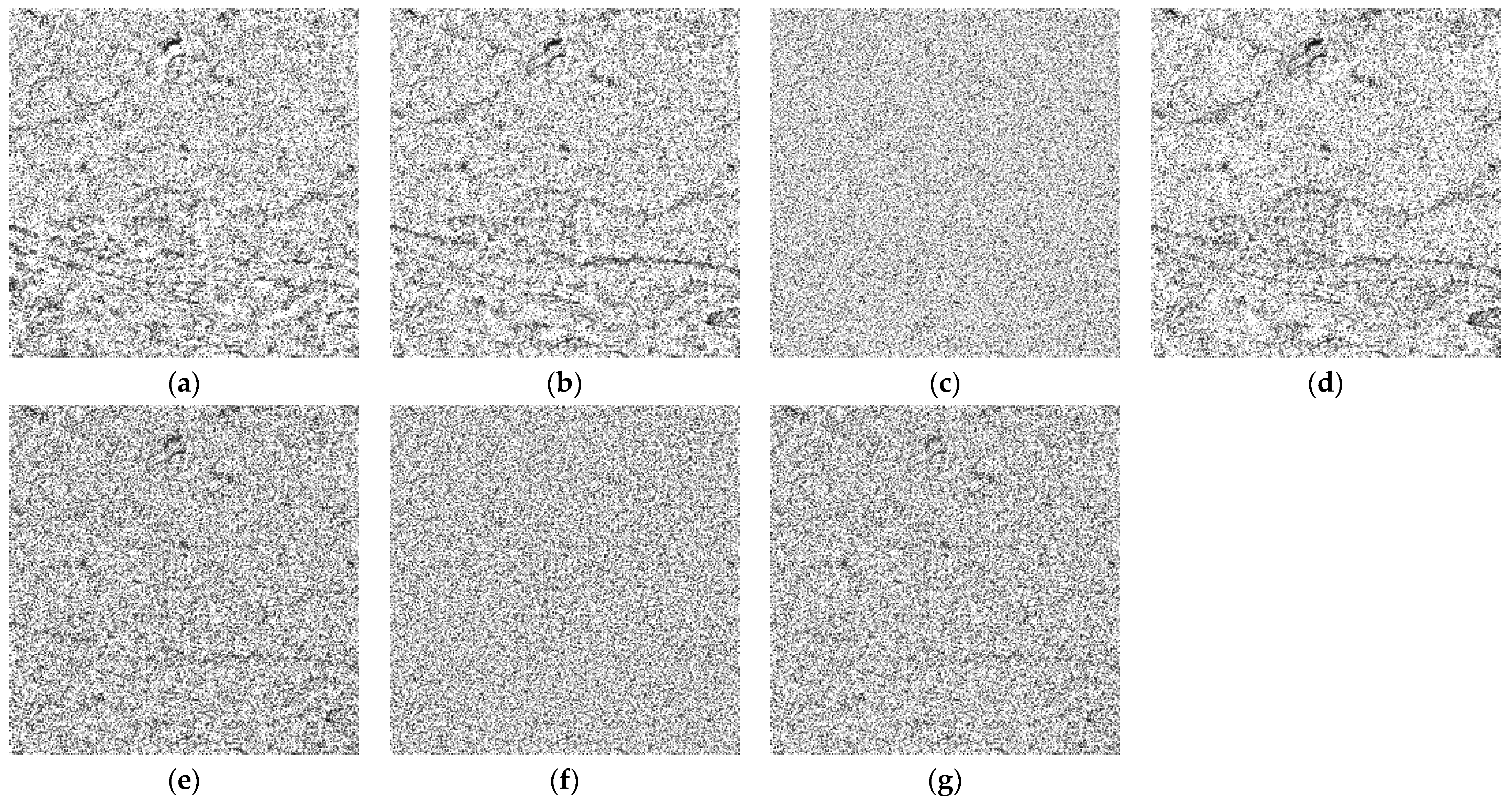 Remotesensing 14 01465 g012 550