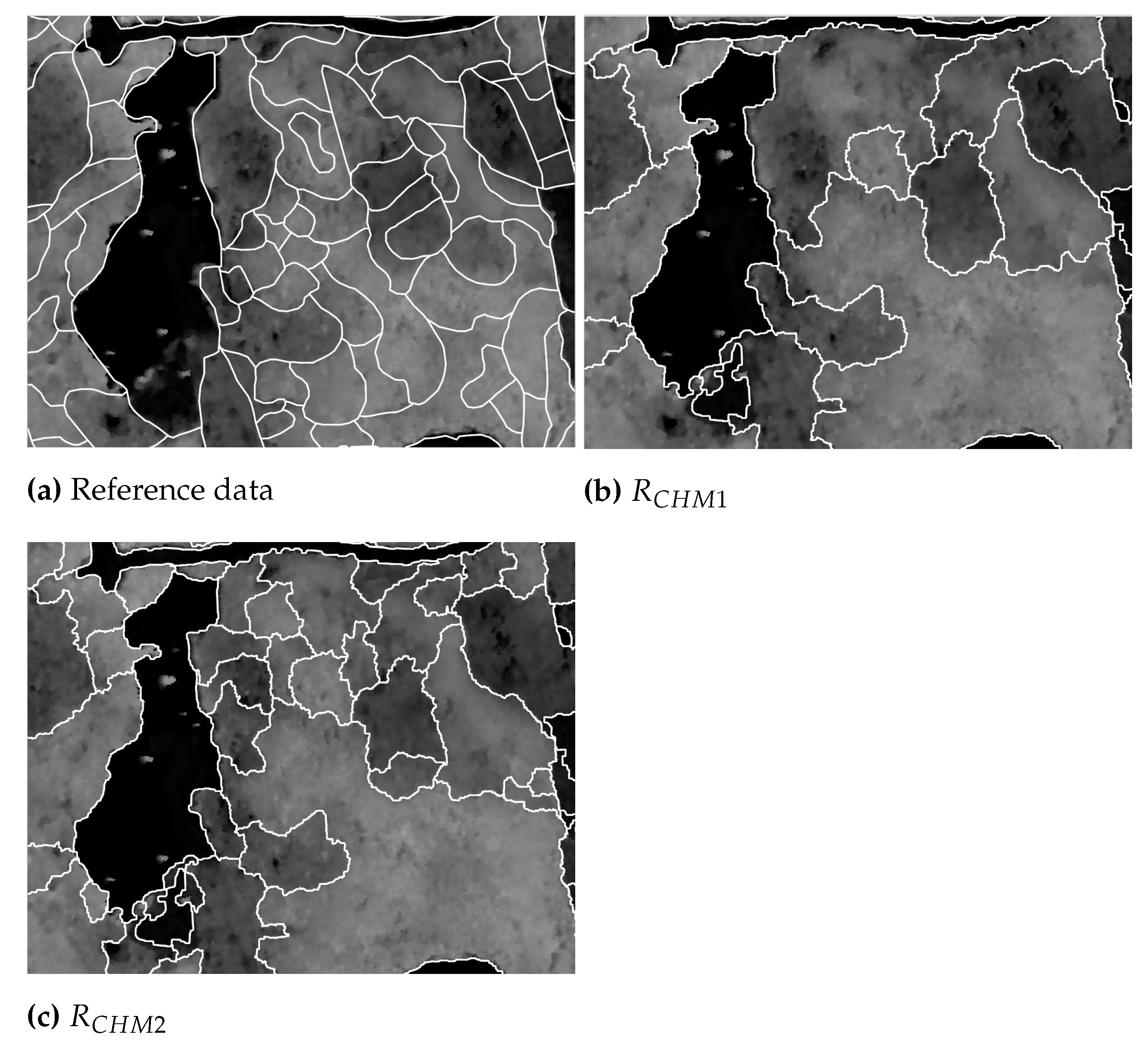 Remotesensing 14 01471 g005