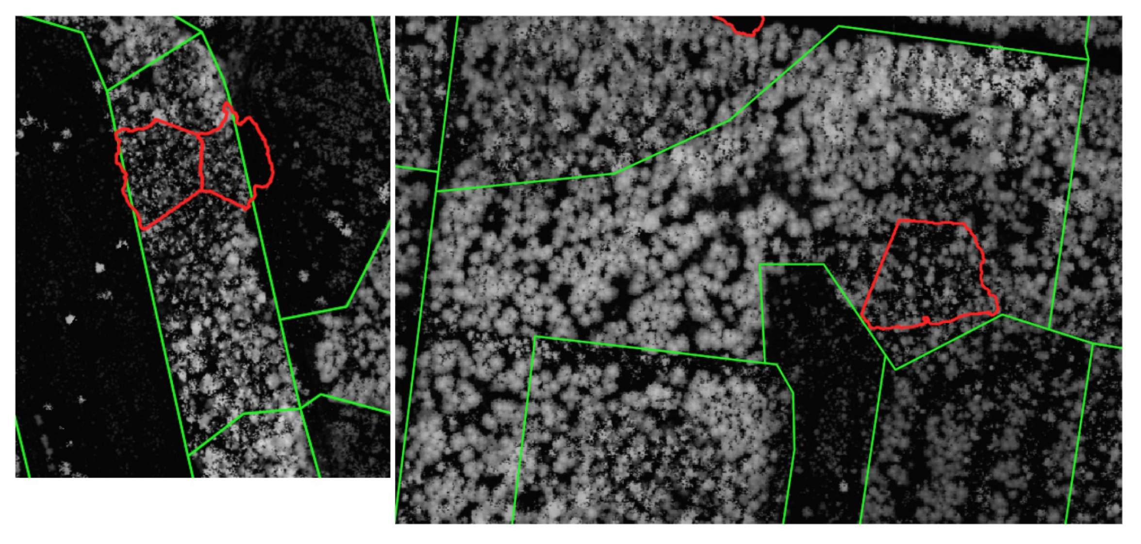 Remotesensing 14 01471 g008