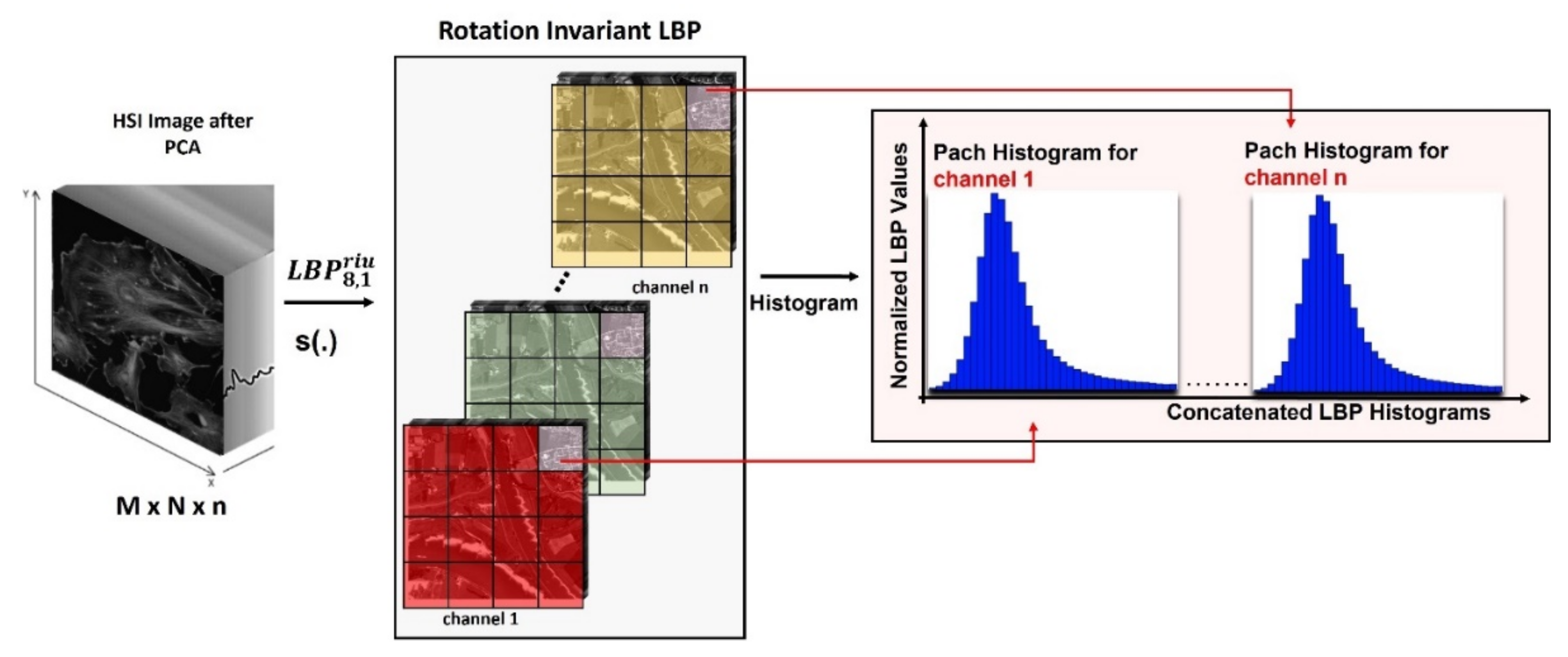 Remotesensing 14 01475 g004 550