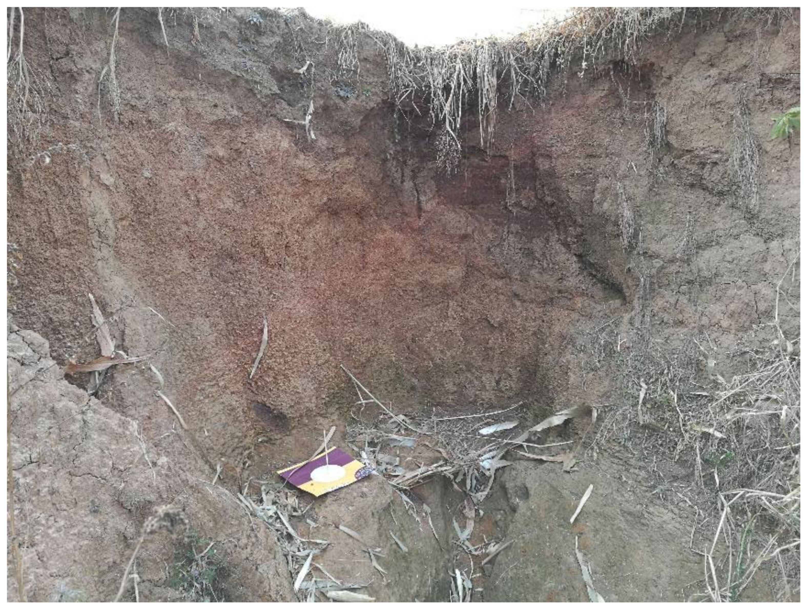 Remotesensing 14 01479 g018