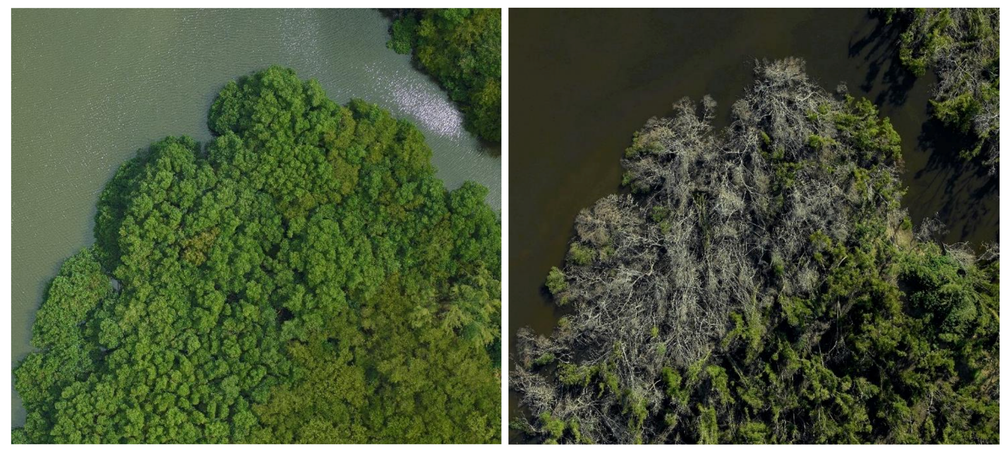 Remotesensing 14 01497 i001