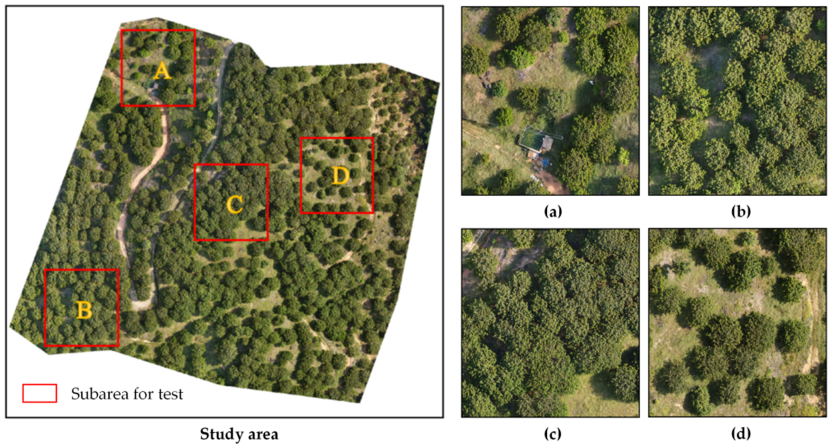 Remotesensing 14 01523 g006