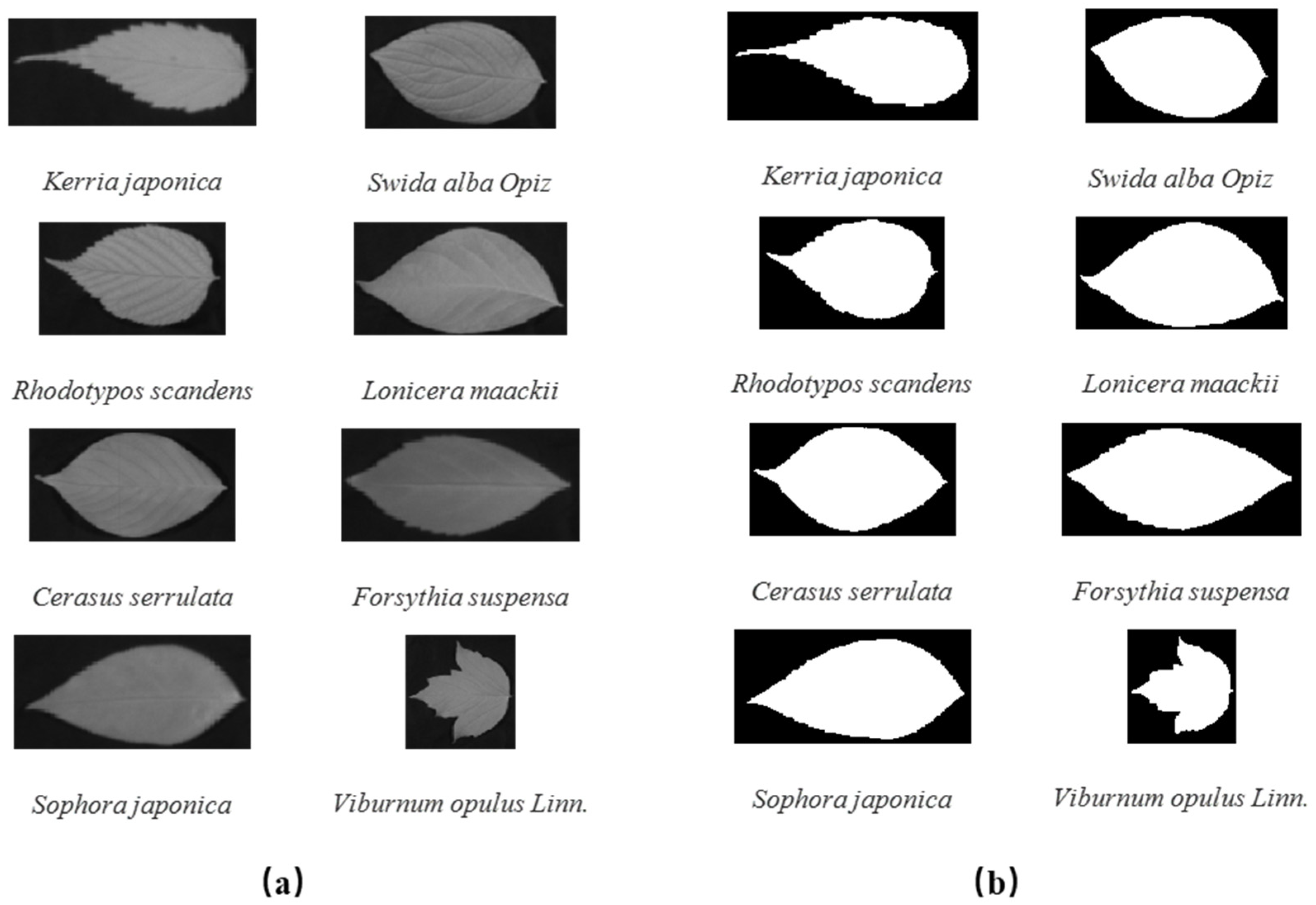 Remotesensing 14 01524 g002 550