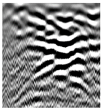 Remotesensing 14 01546 i002