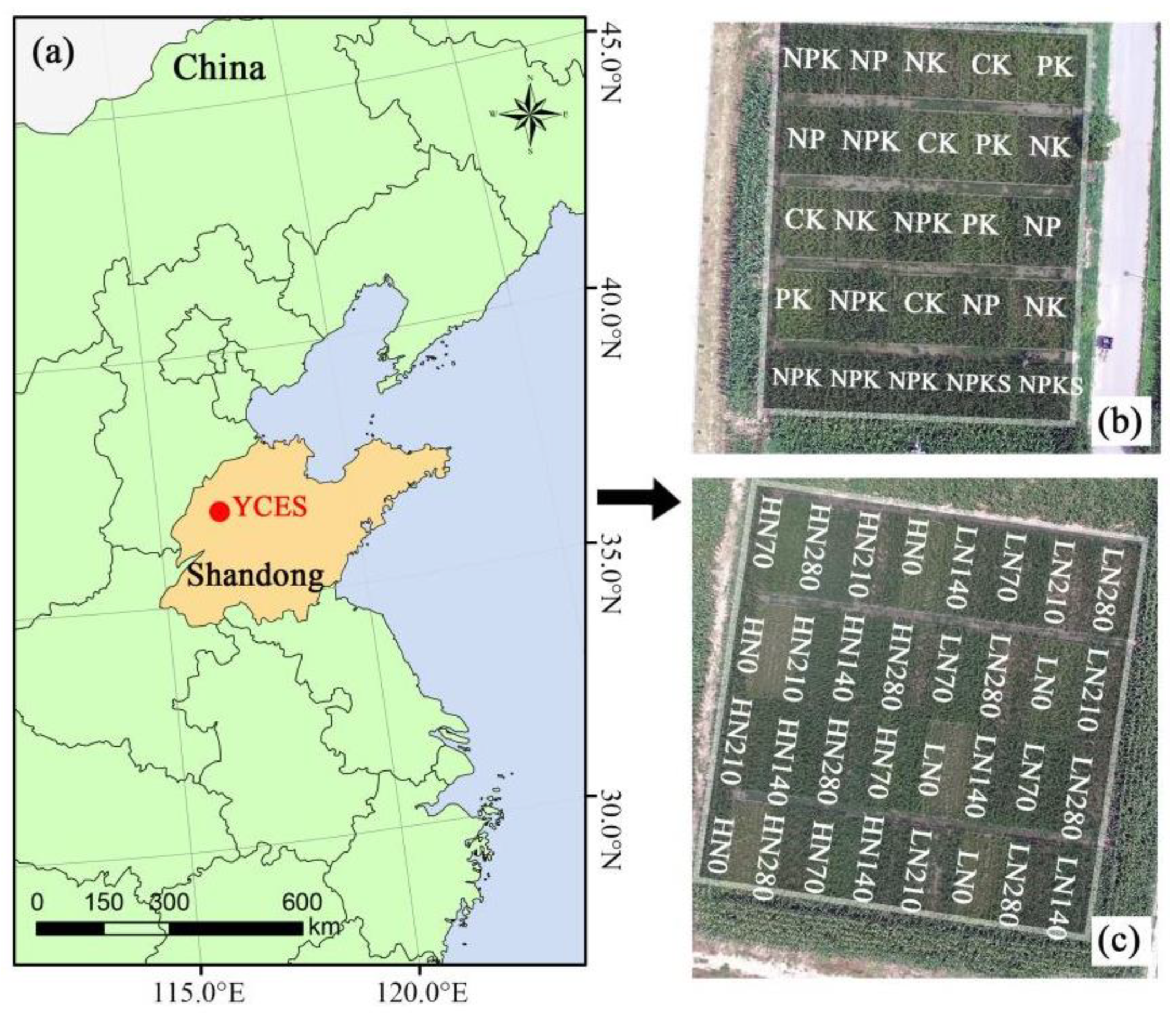 Remotesensing 14 01559 g002