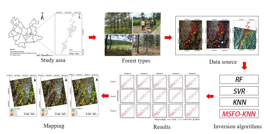 Remote Sensing | Free Full-Text | Forest Above-Ground Biomass Inversion ...