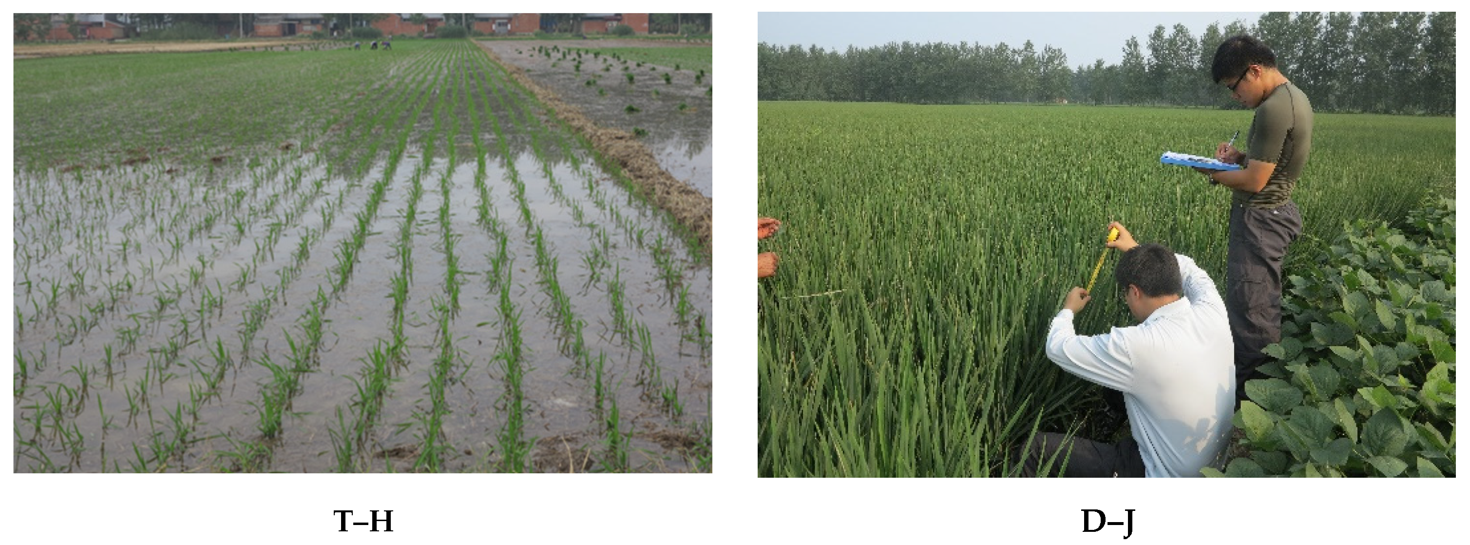 Remotesensing 14 01644 g002a