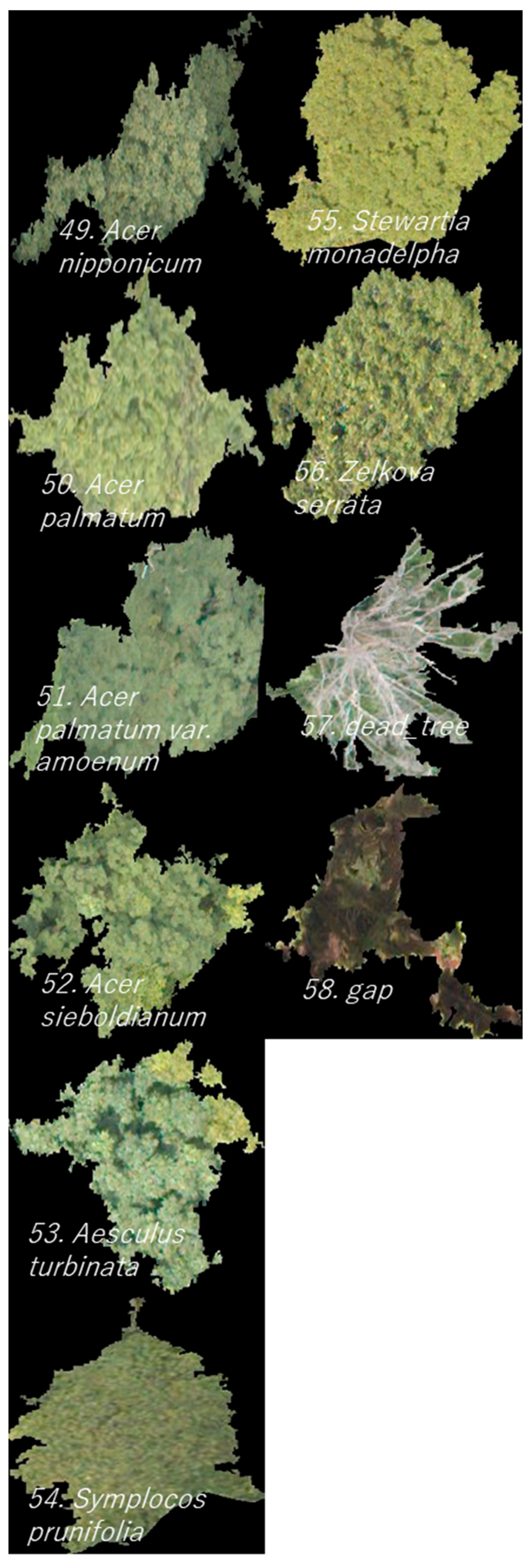 Remotesensing 14 01710 g003c