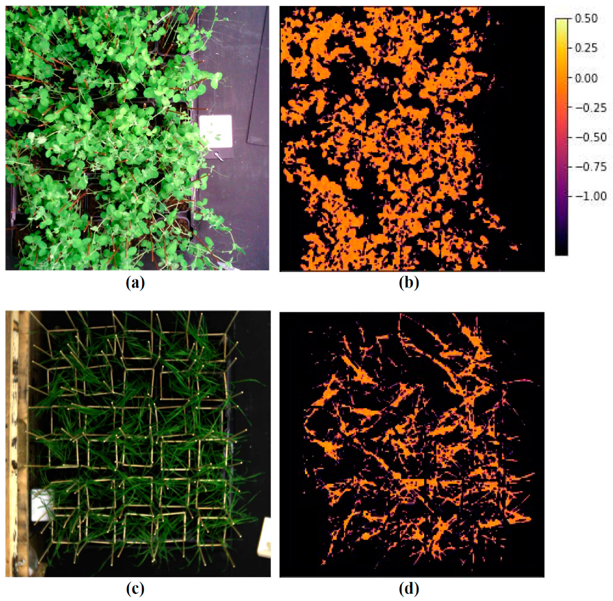 Remotesensing 14 01731 g001