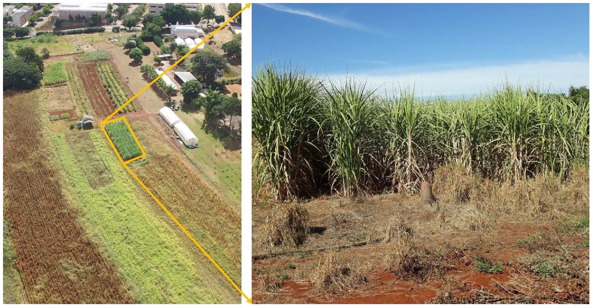 Remotesensing 14 01734 g001 Remotesensing 14 01734 g001