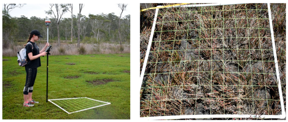 Remotesensing 14 01782 g002 550