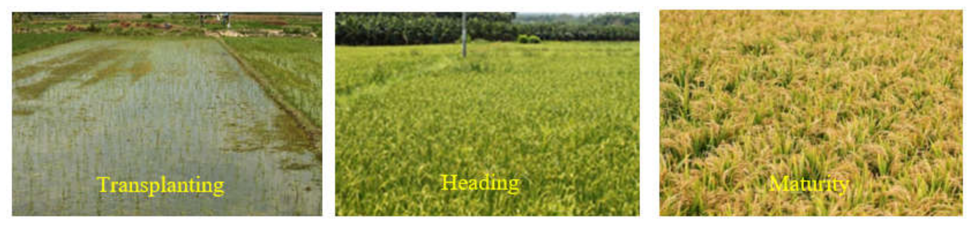 Remotesensing 14 01823 g008